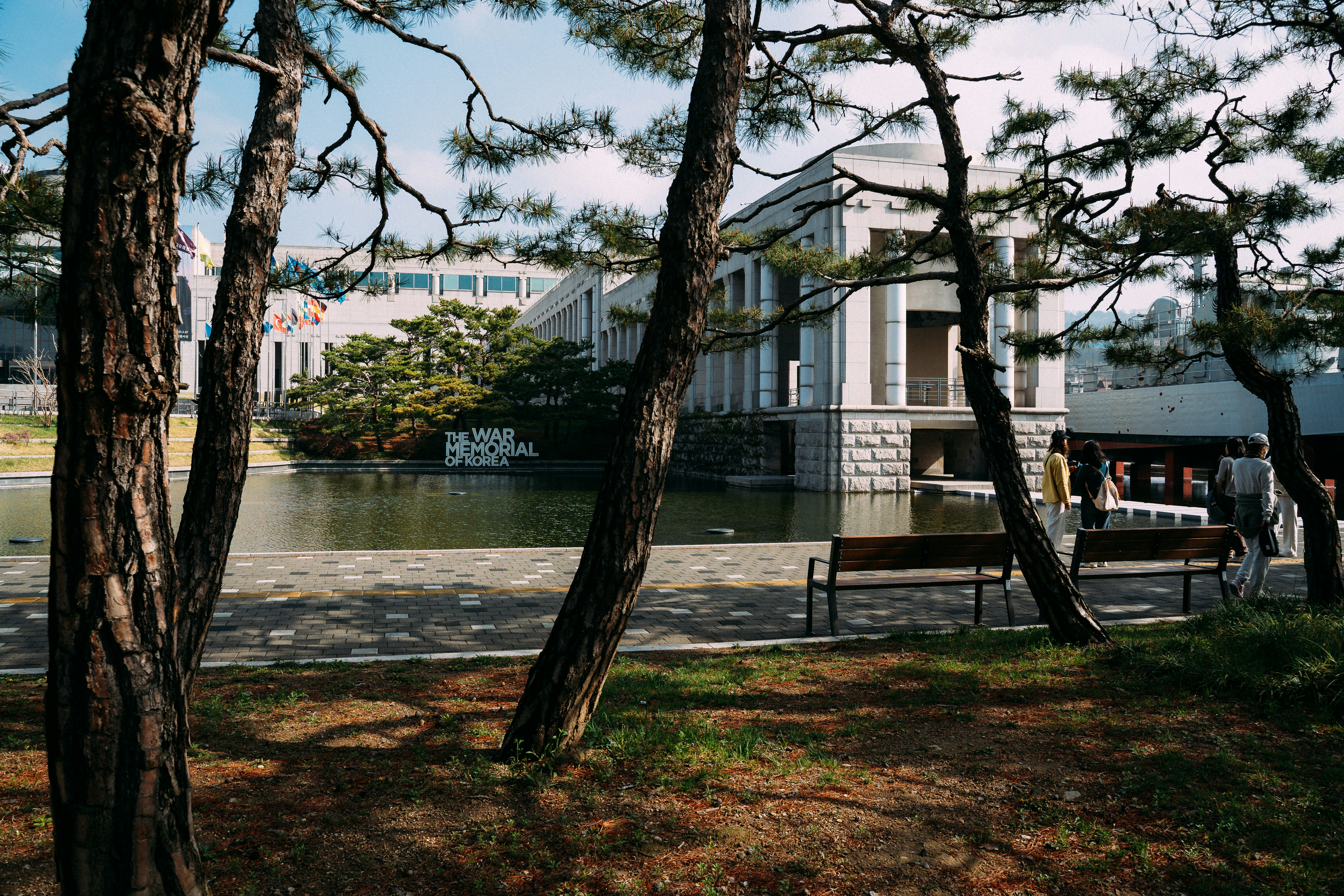 A park with a building behind trees.