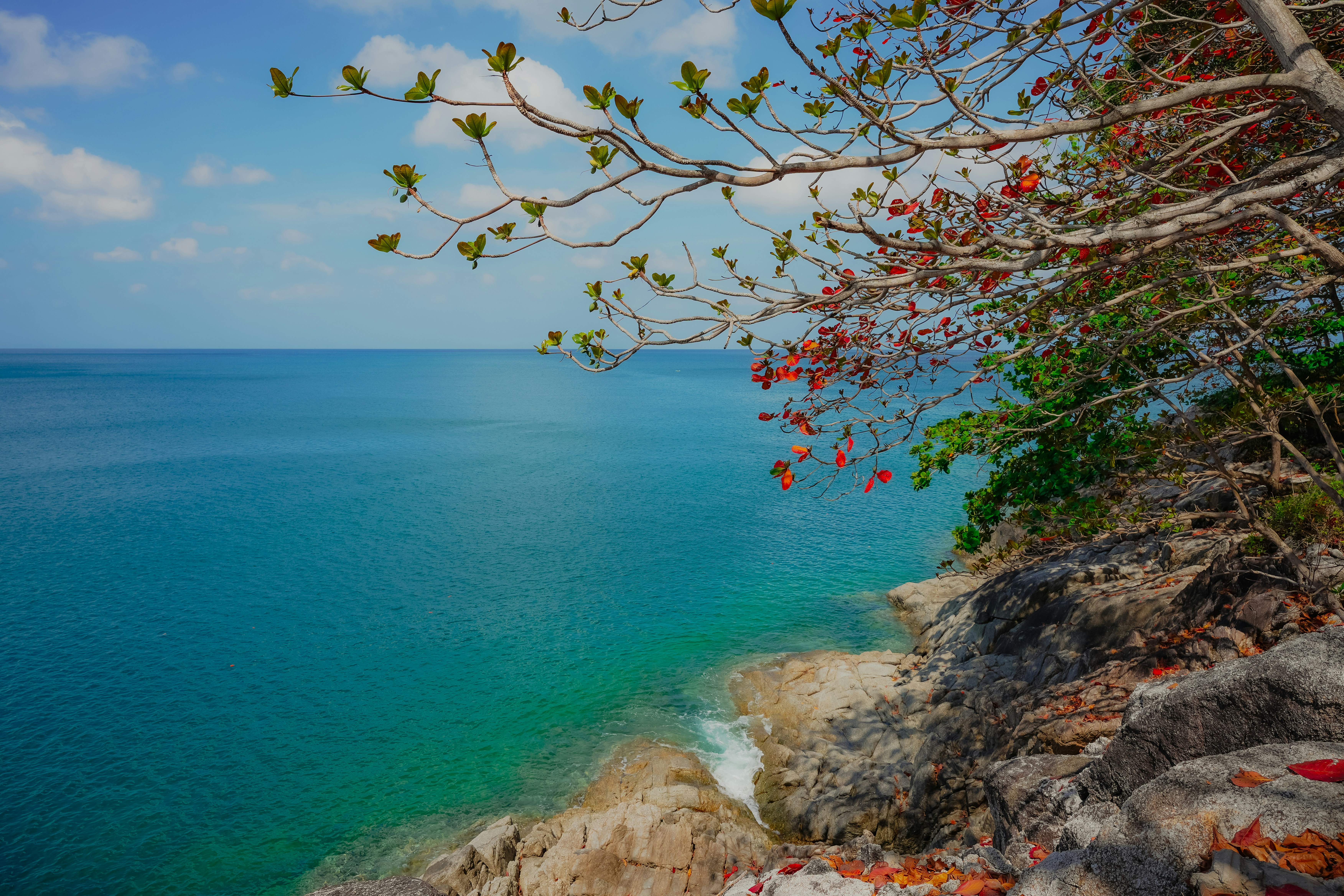 Photo by maxbvp