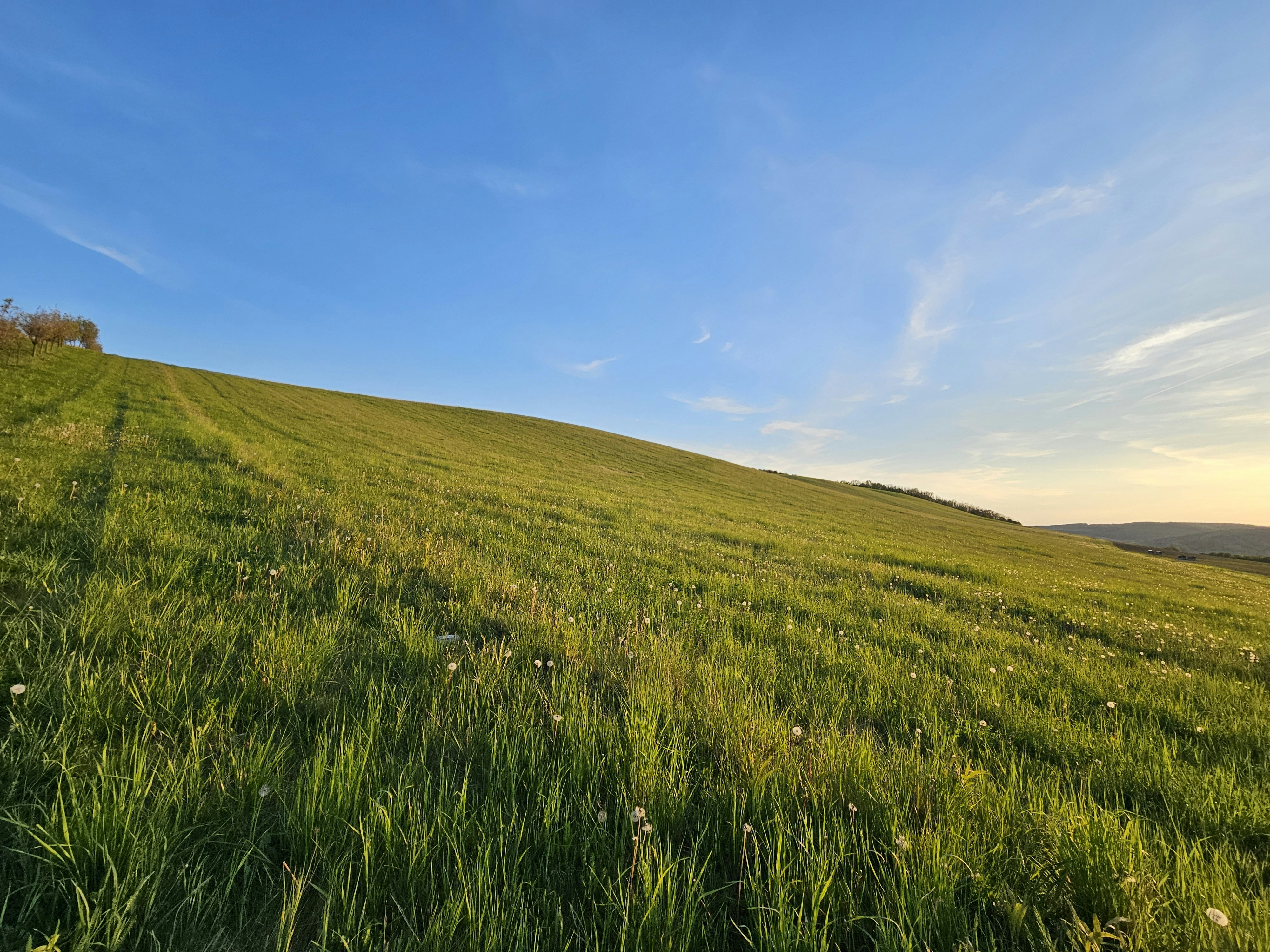 Photo by marjorylucabaxter