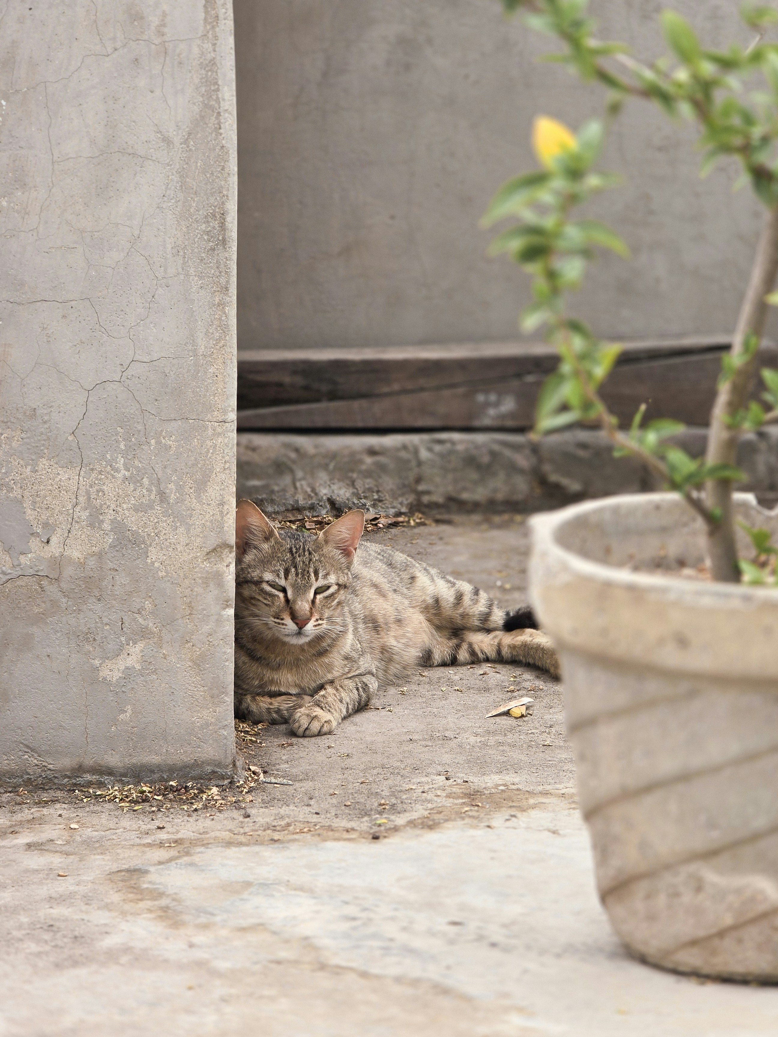 Photo by yuvraj_2002___