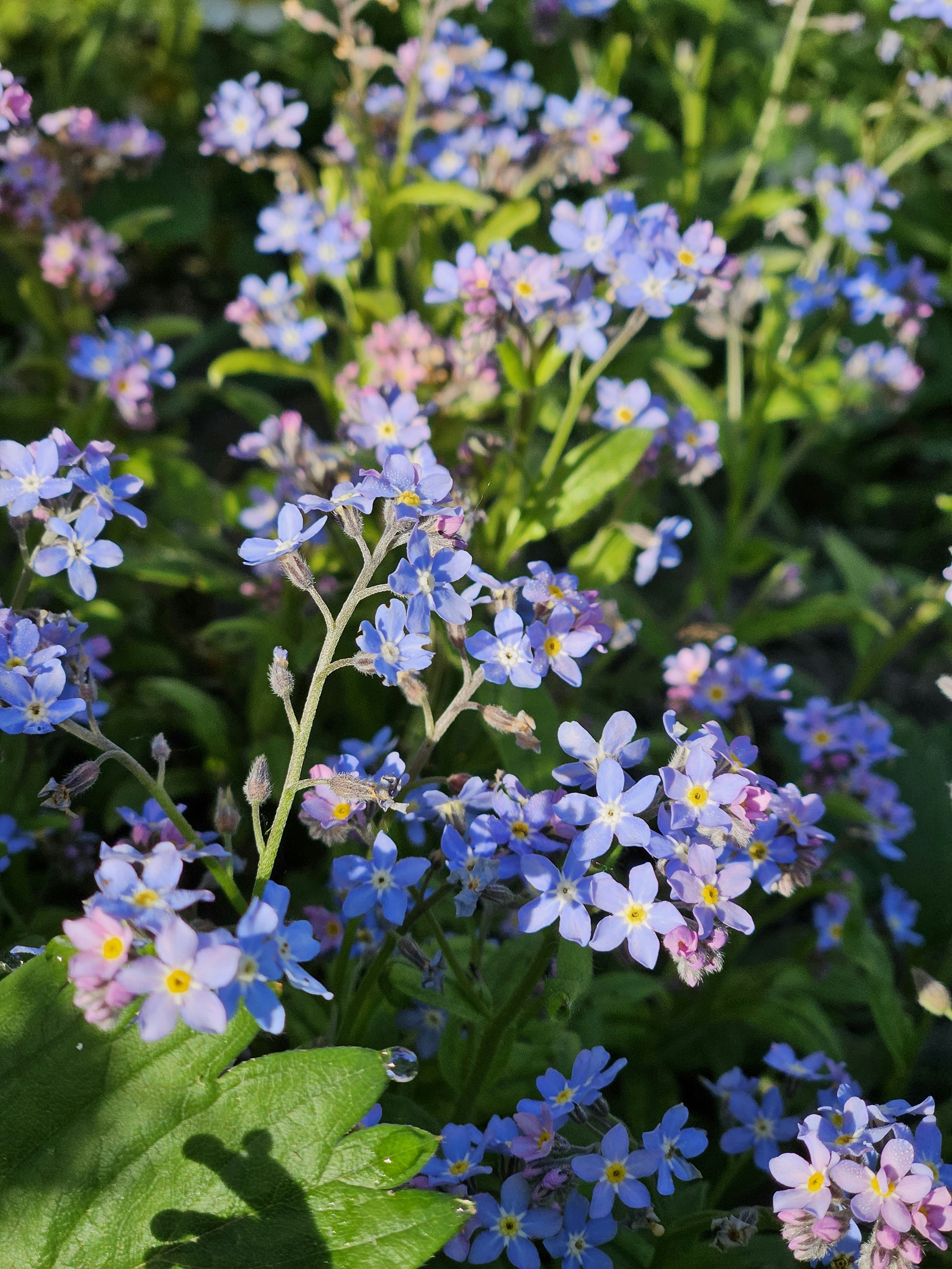 Photo by marjorylucabaxter