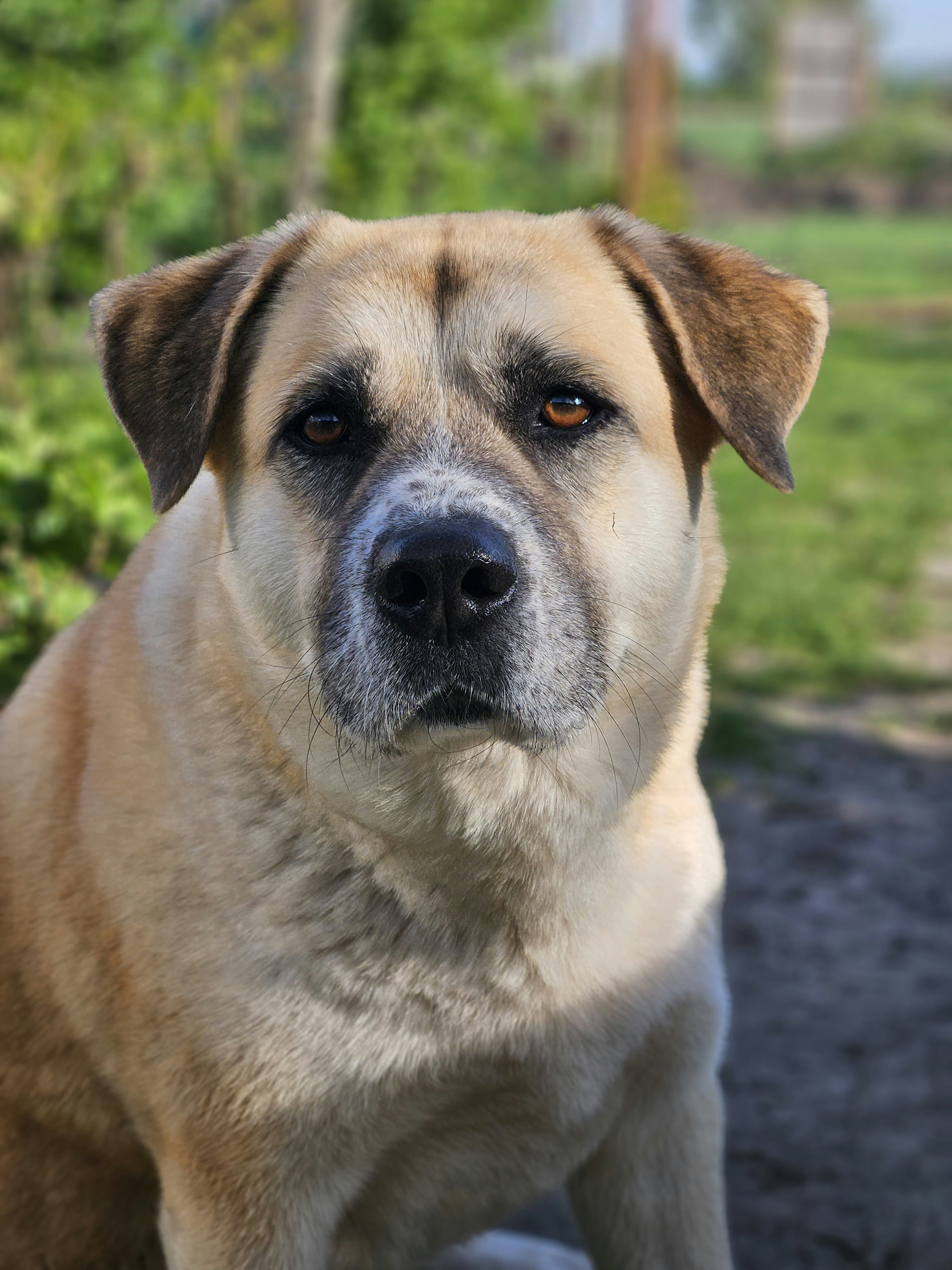 Photo by marjorylucabaxter