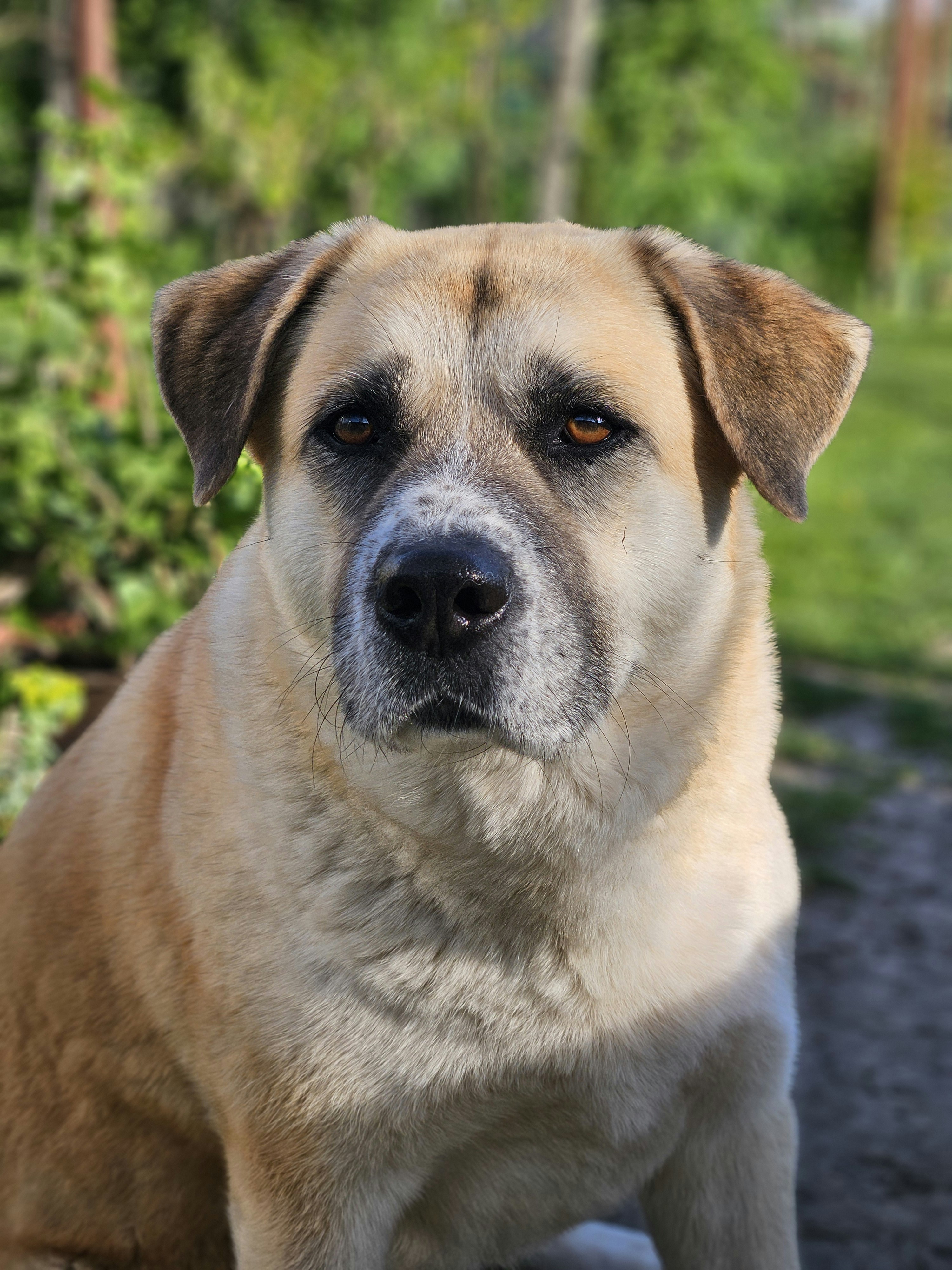 Photo by marjorylucabaxter