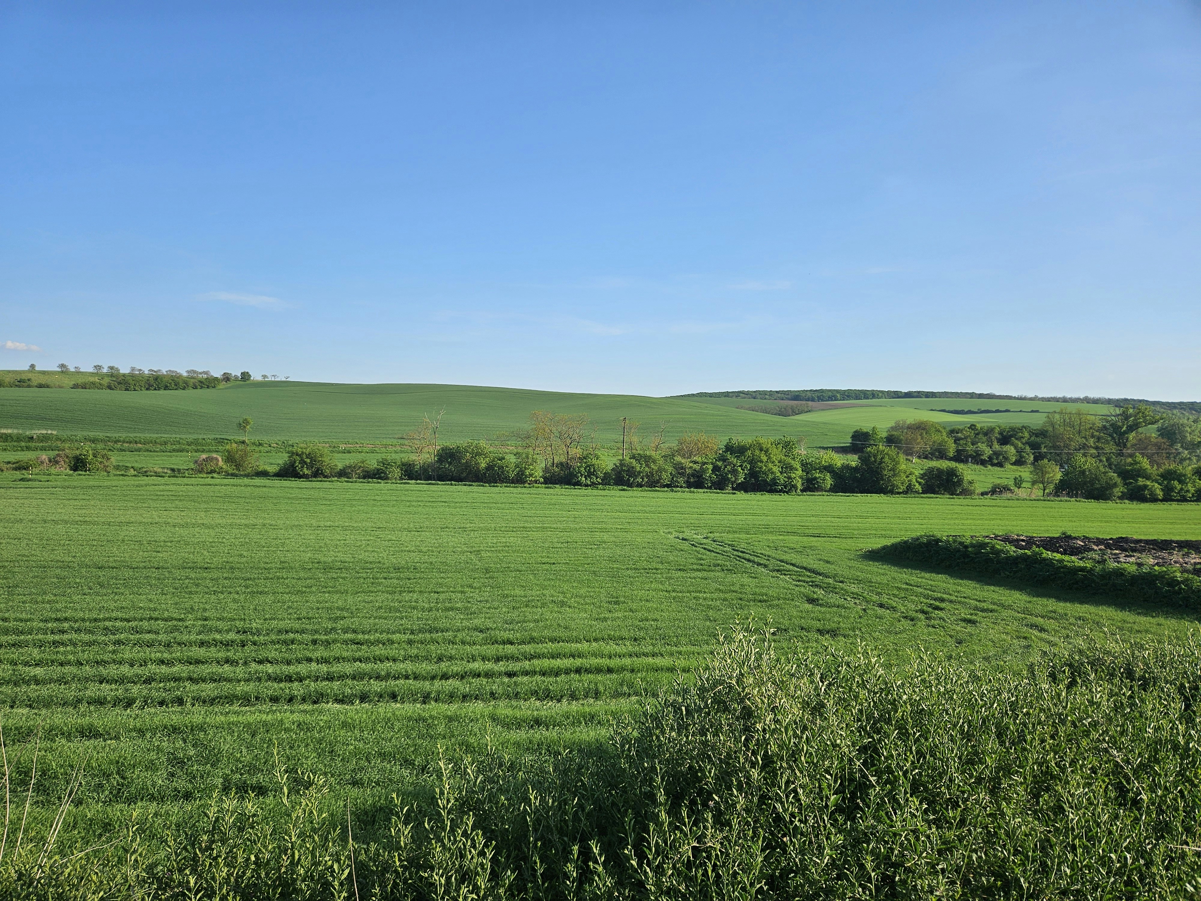 Photo by marjorylucabaxter