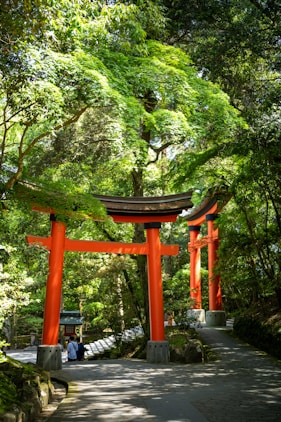 Red torii gates frame a path through the lush greenery.