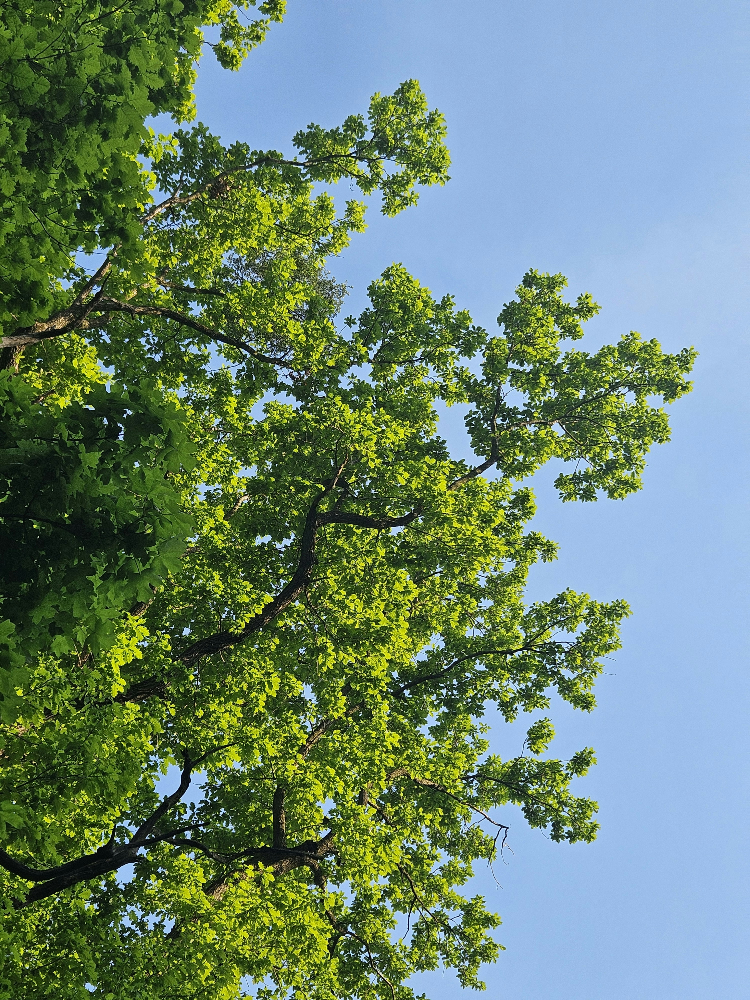 Photo by marjorylucabaxter