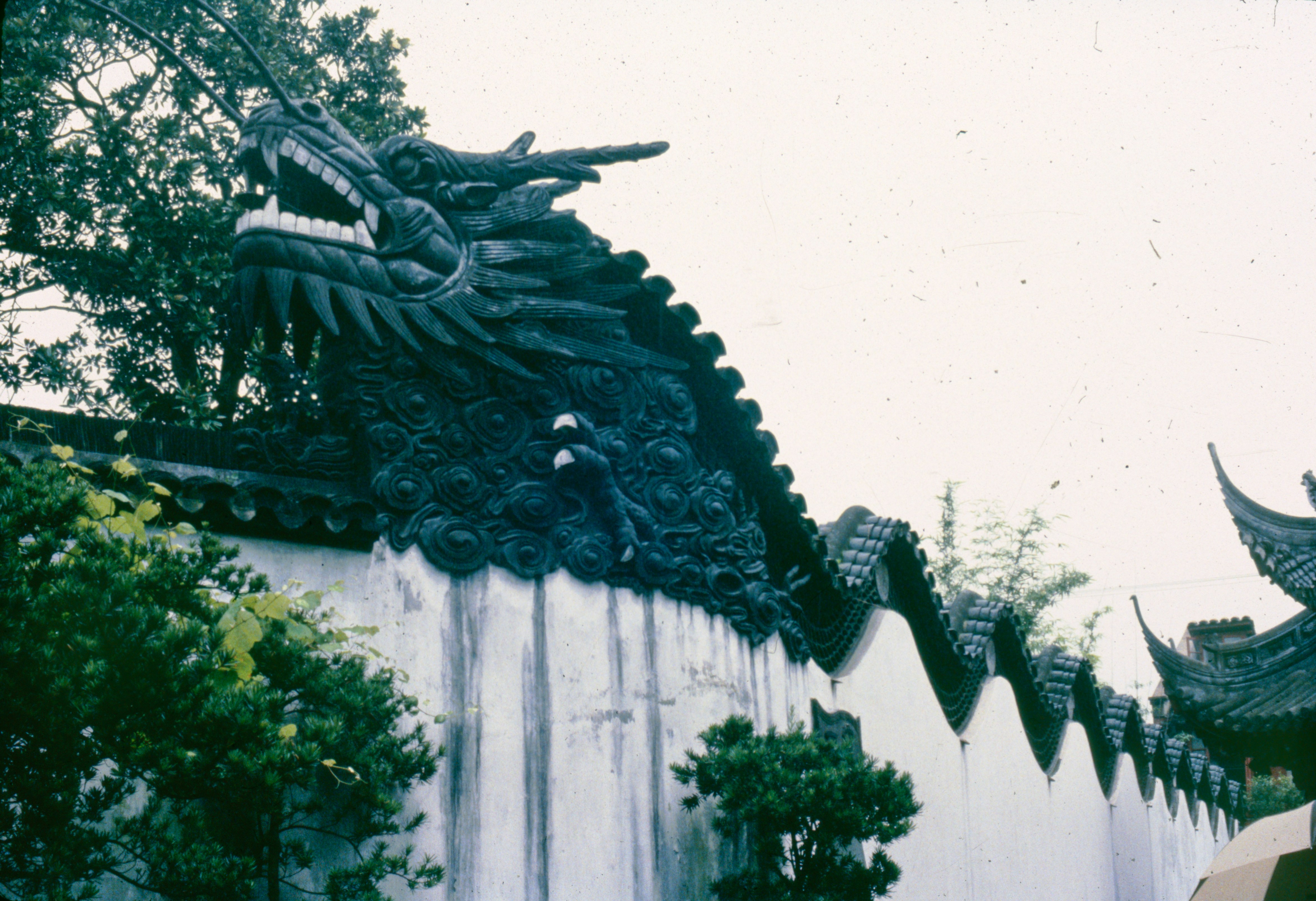 Photo by anniespratt