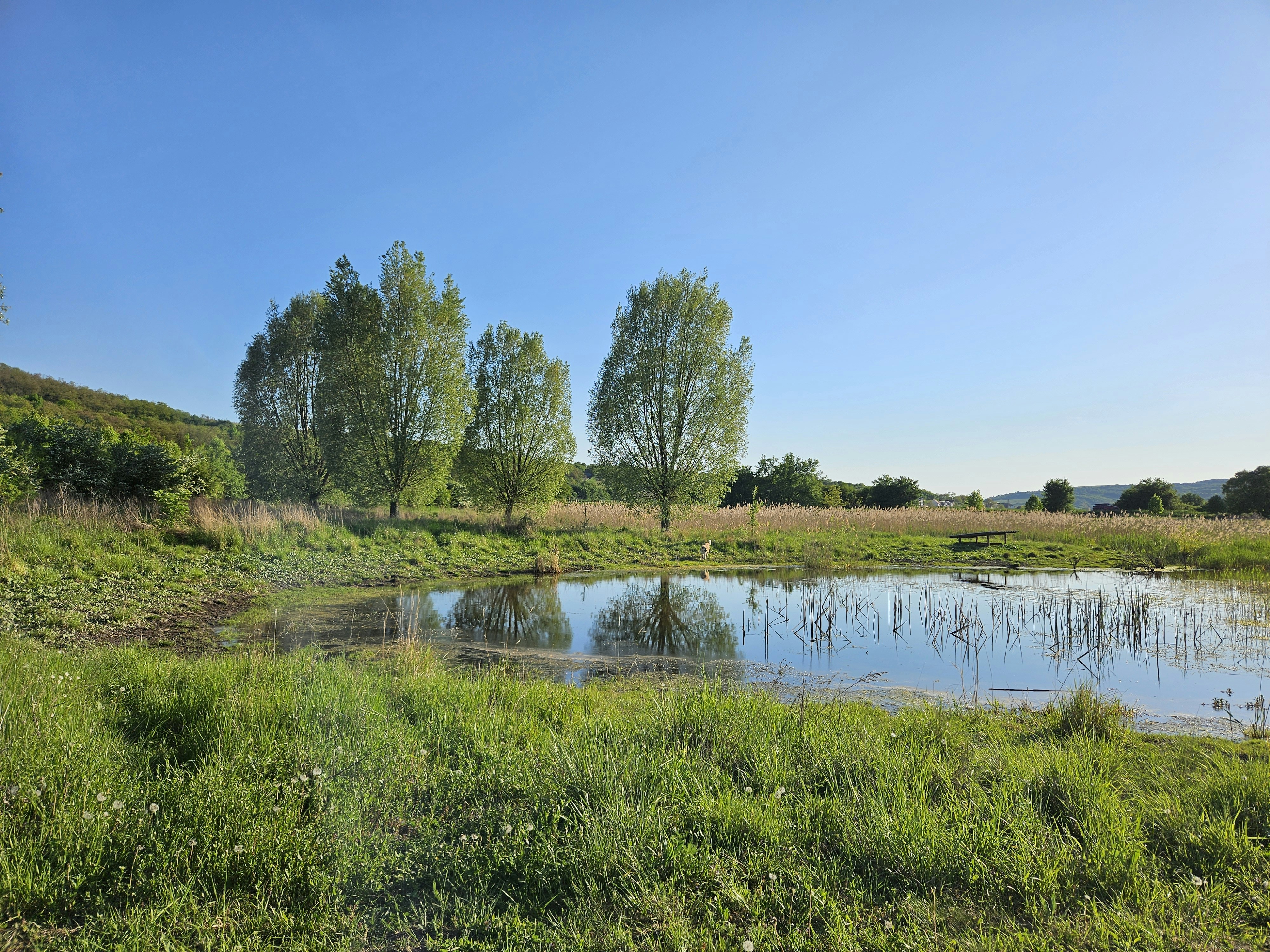 Photo by marjorylucabaxter