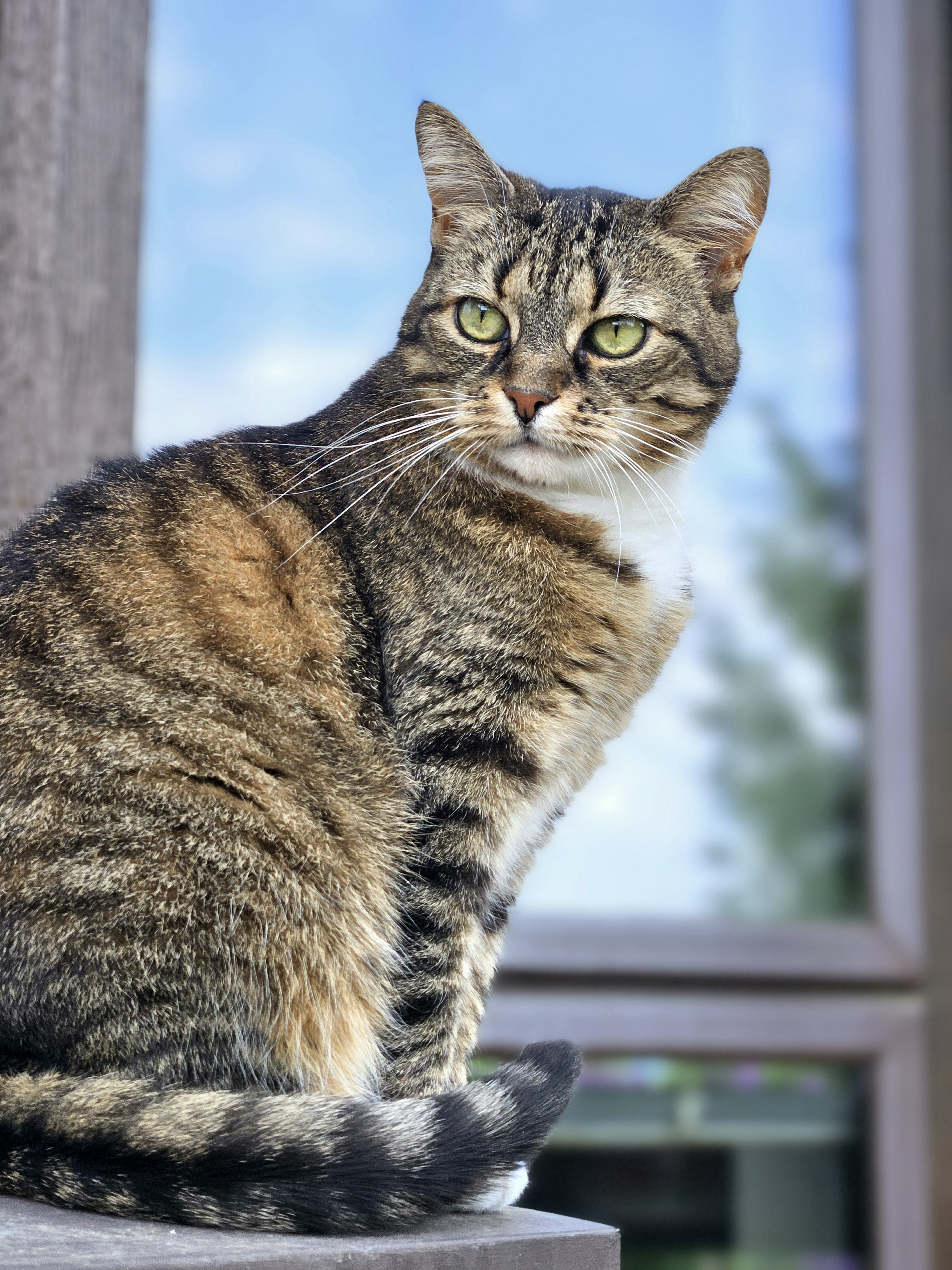 Photo by marjorylucabaxter