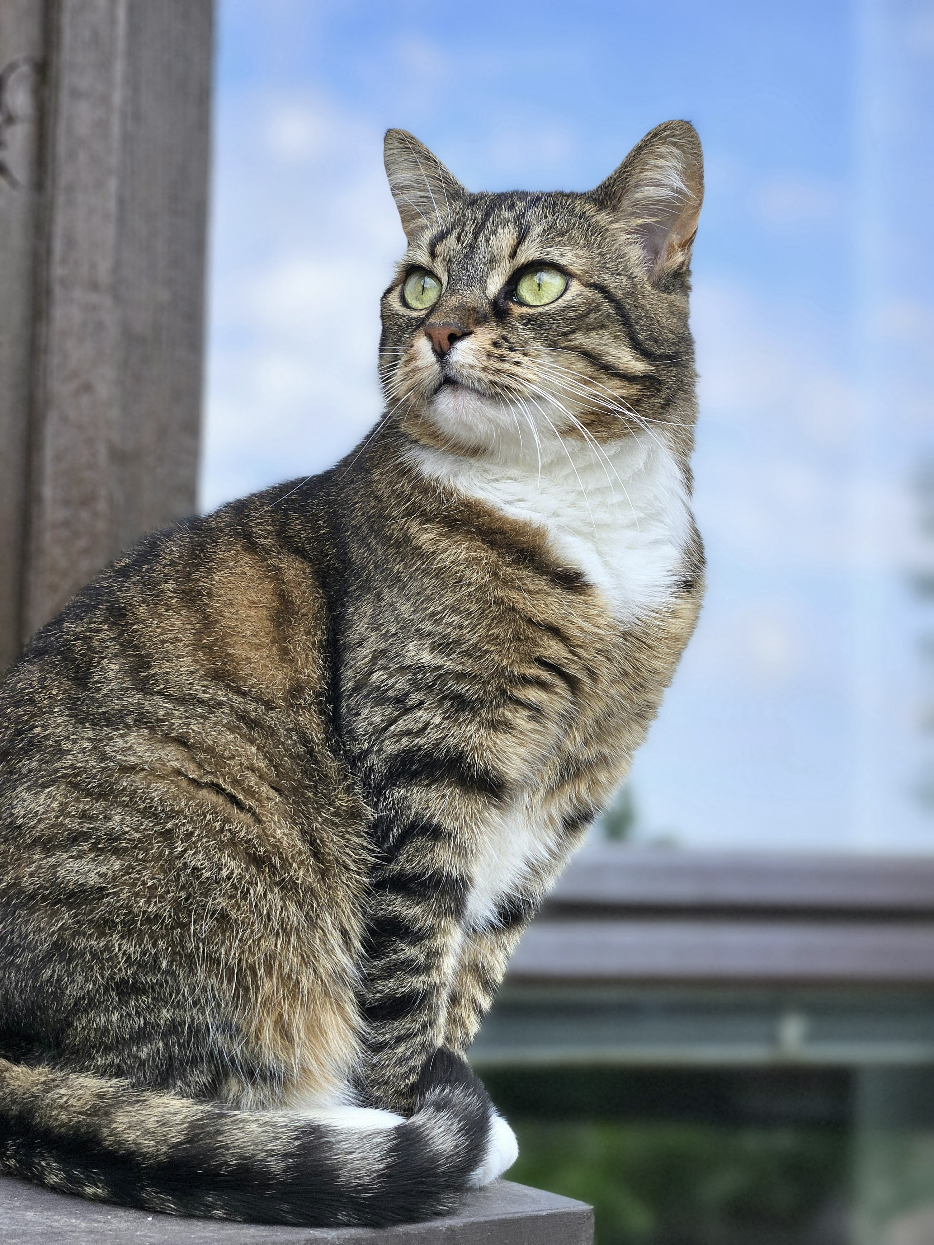 Photo by marjorylucabaxter