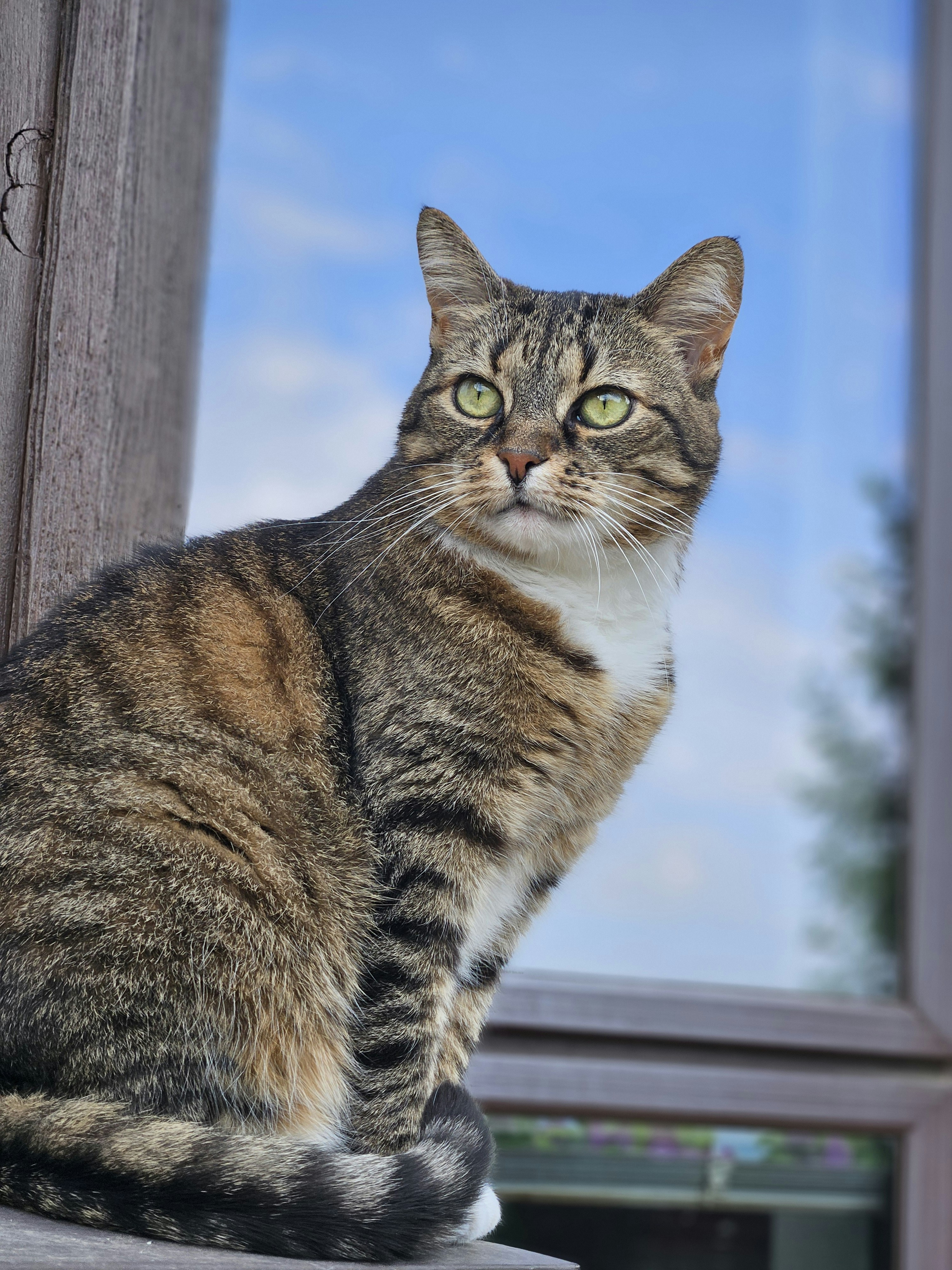 Photo by marjorylucabaxter