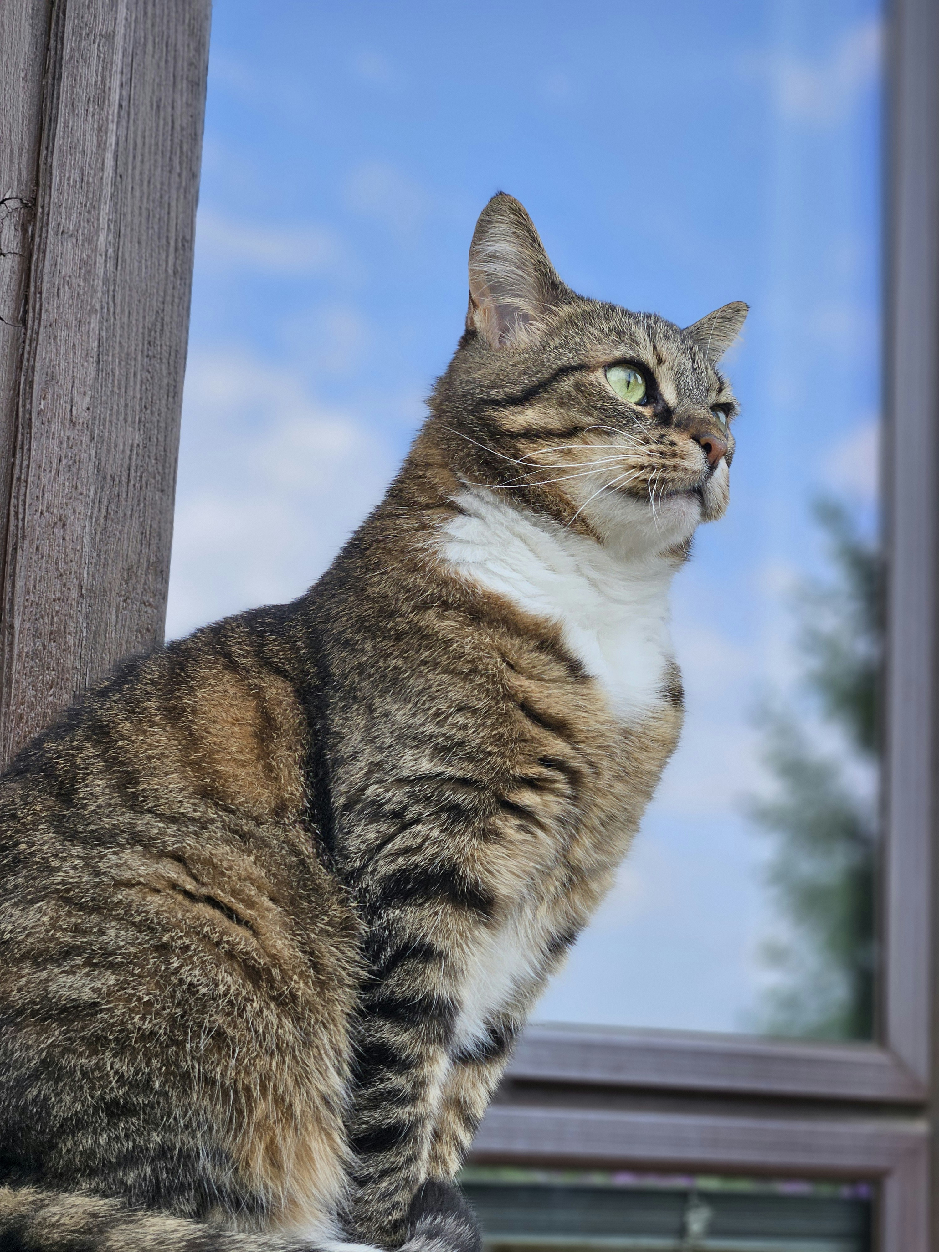 Photo by marjorylucabaxter