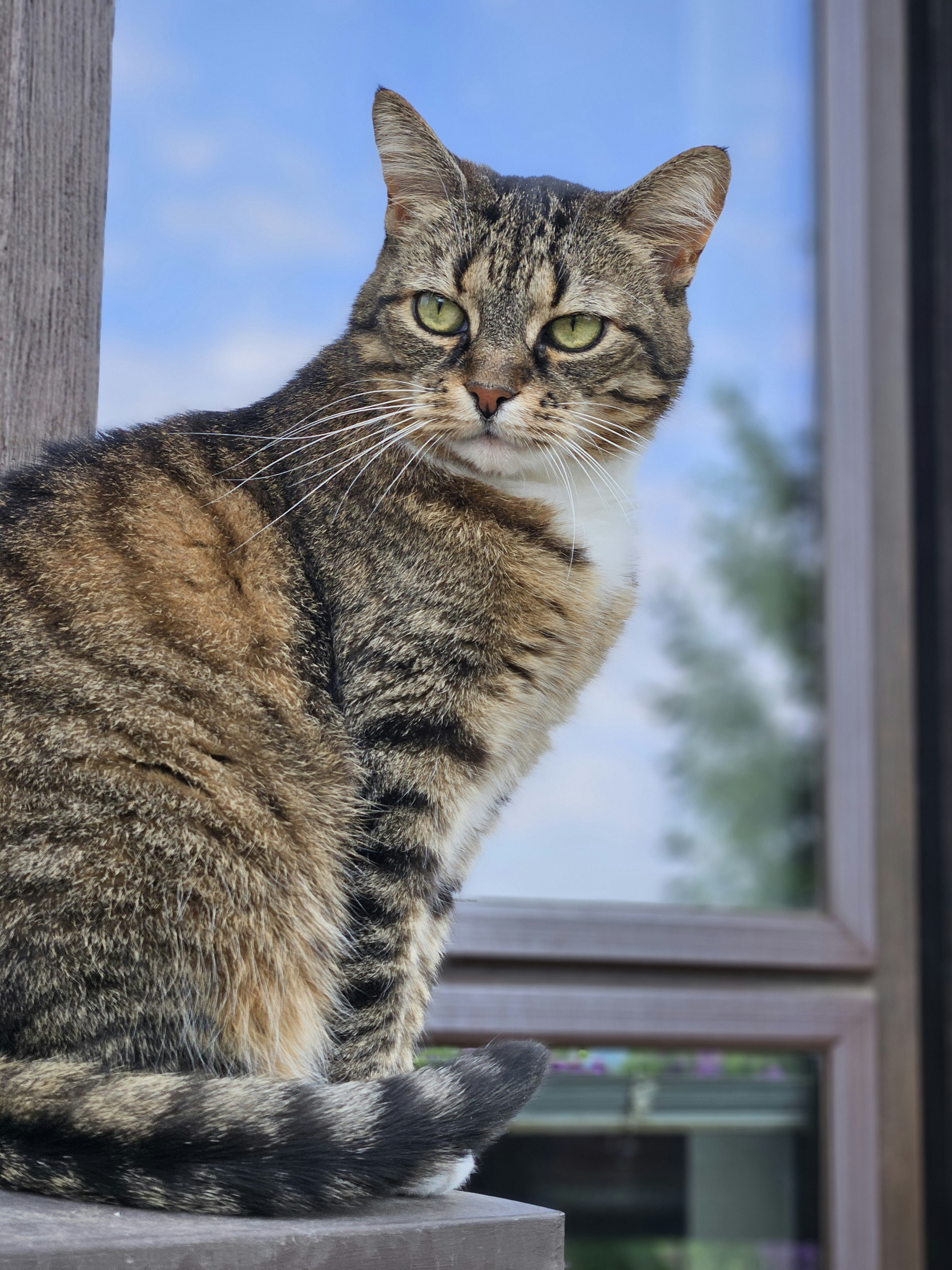 Photo by marjorylucabaxter