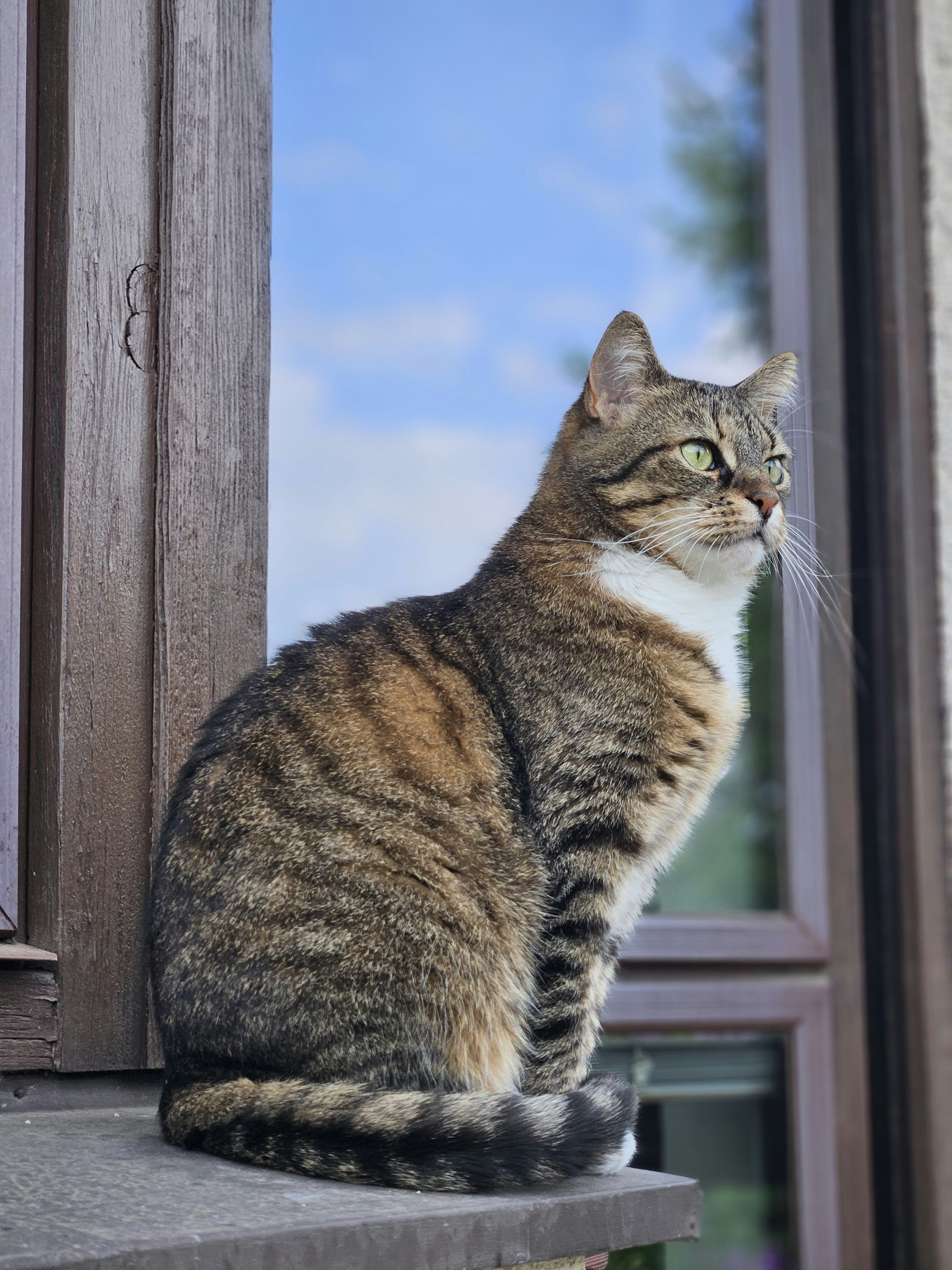 Photo by marjorylucabaxter