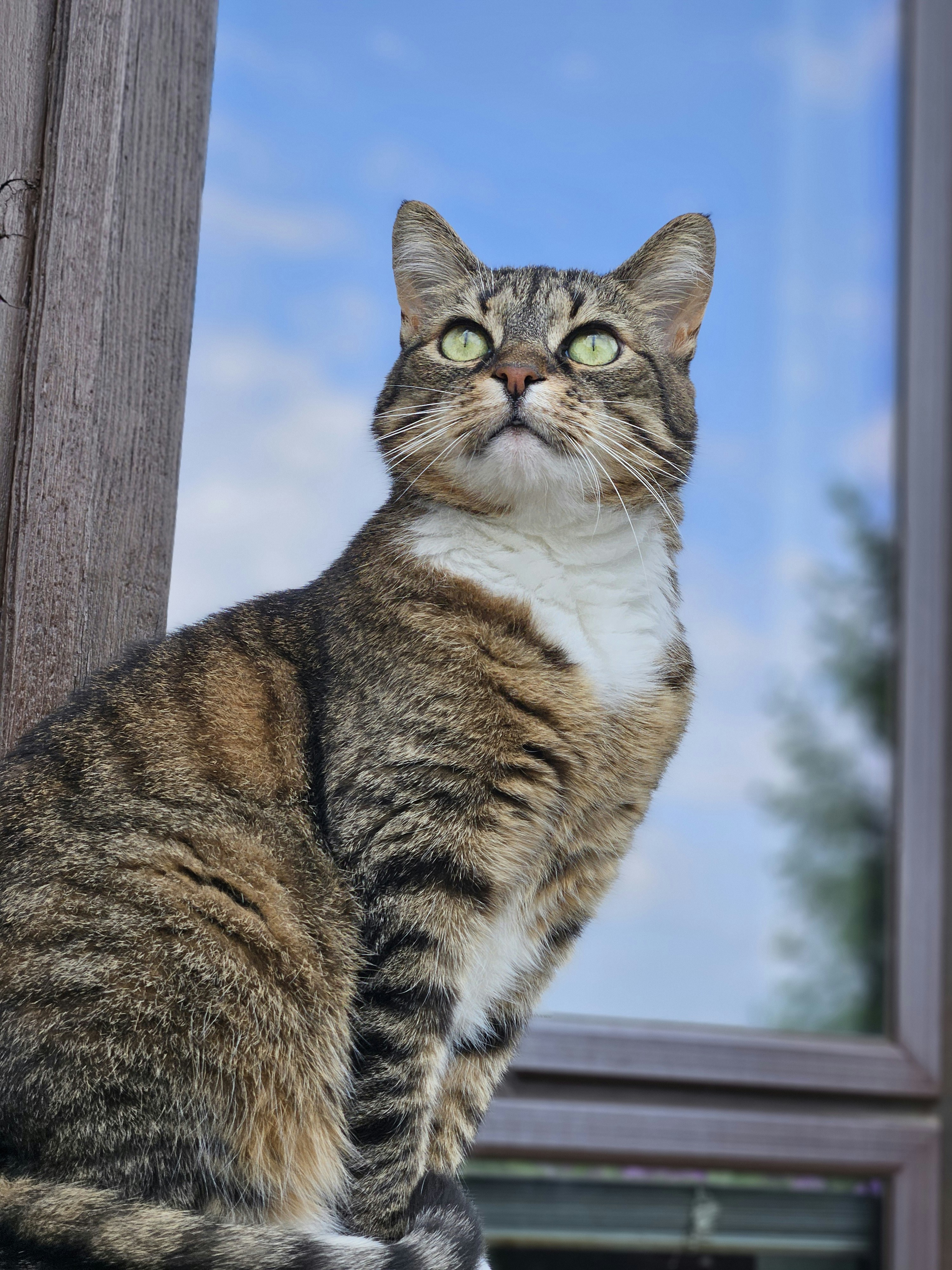 Photo by marjorylucabaxter