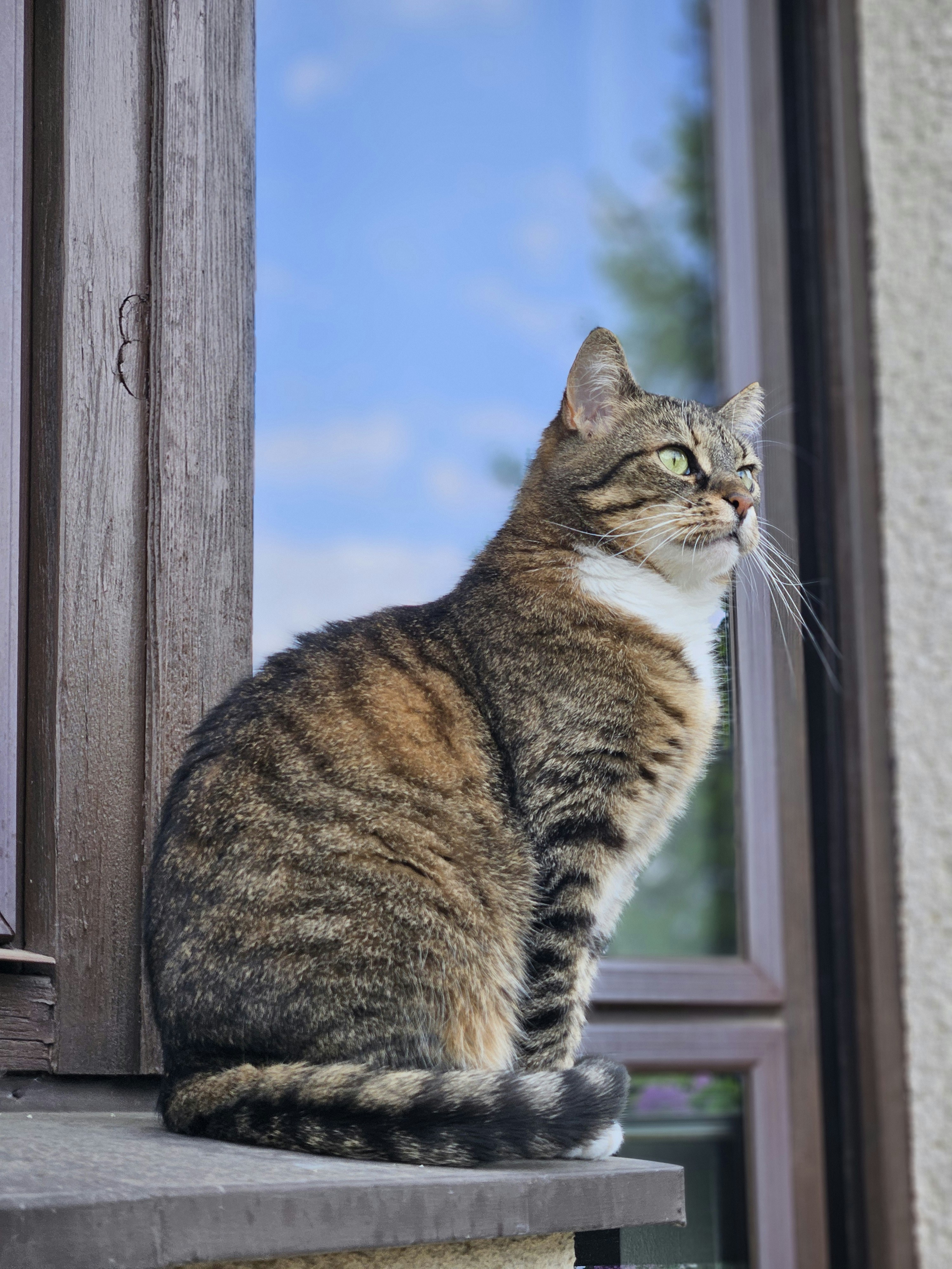 Photo by marjorylucabaxter