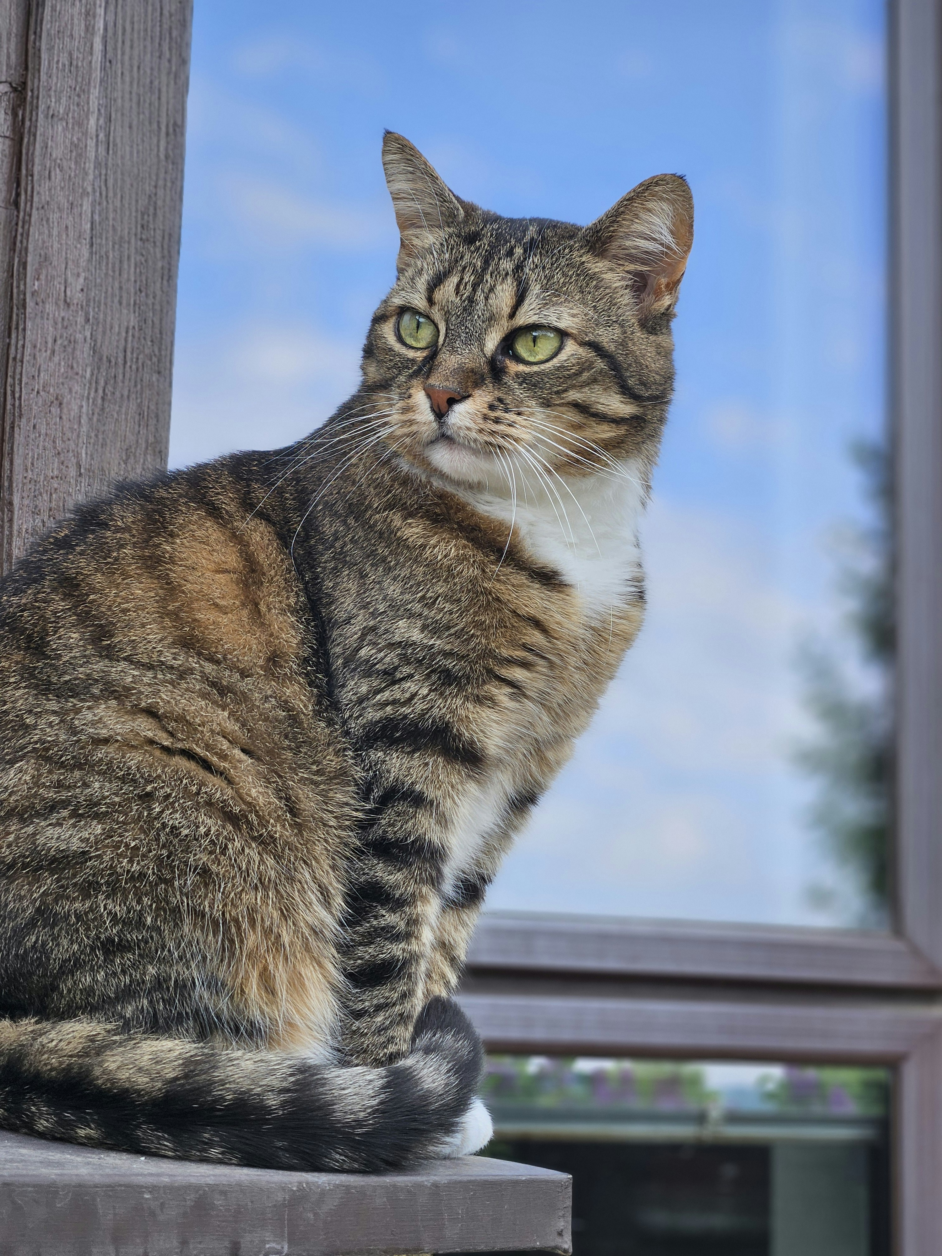 Photo by marjorylucabaxter