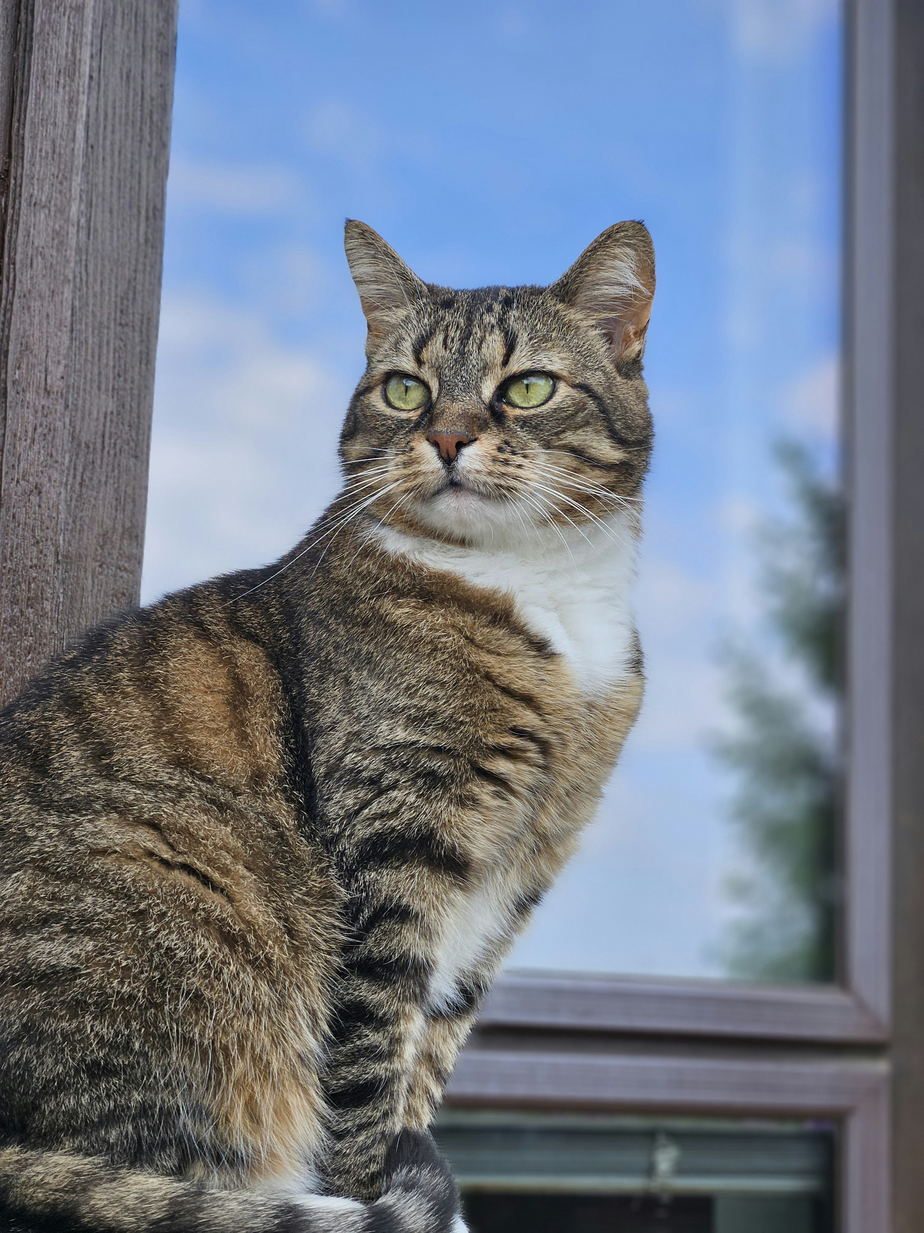 Photo by marjorylucabaxter