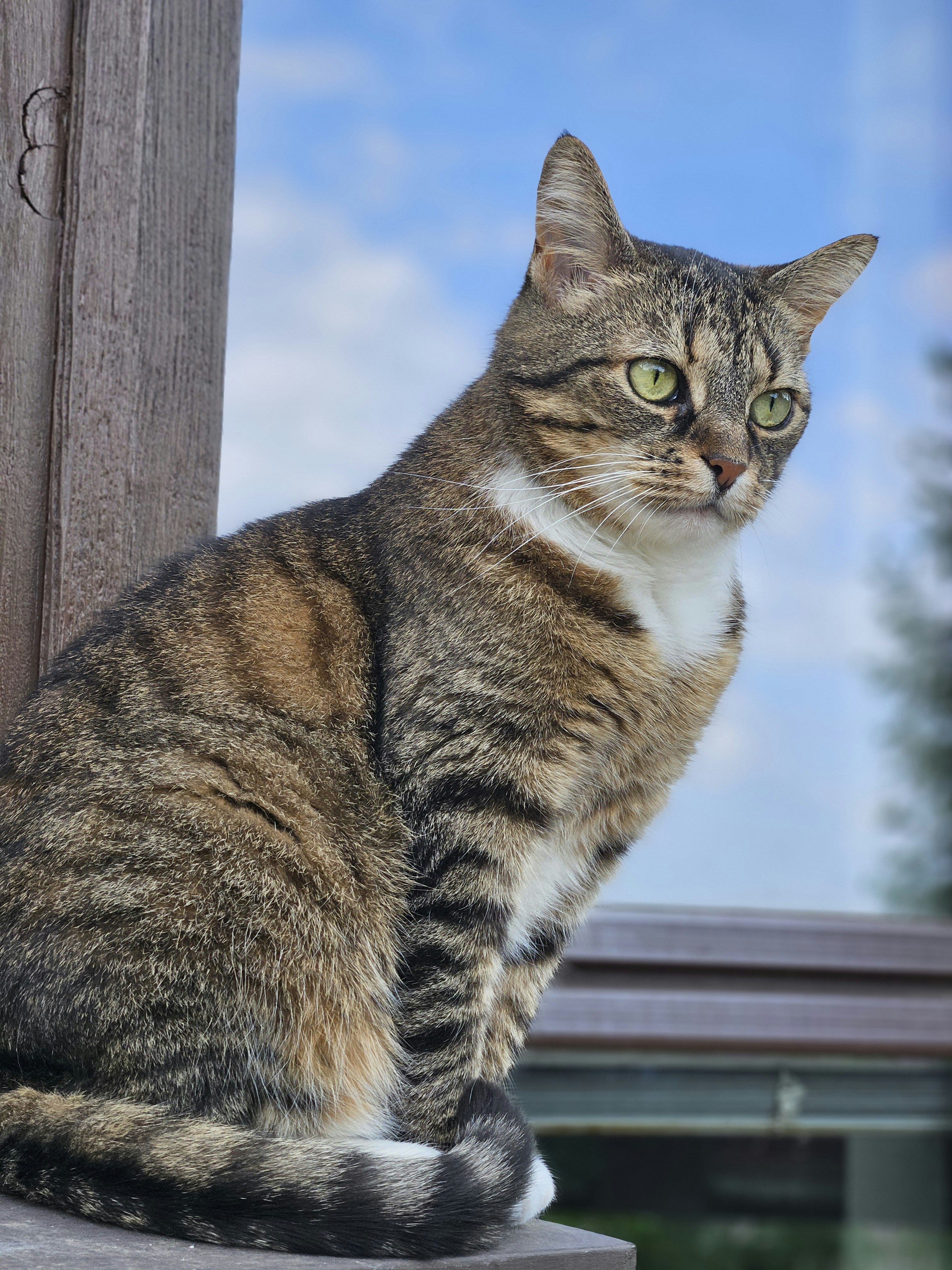 Photo by marjorylucabaxter