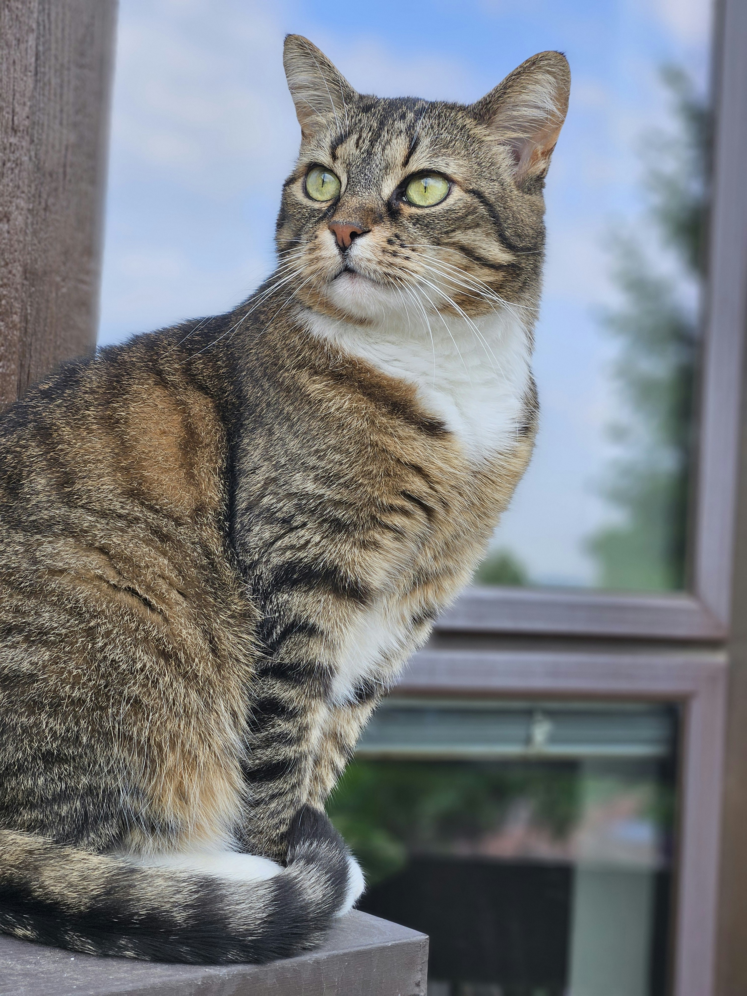 Photo by marjorylucabaxter