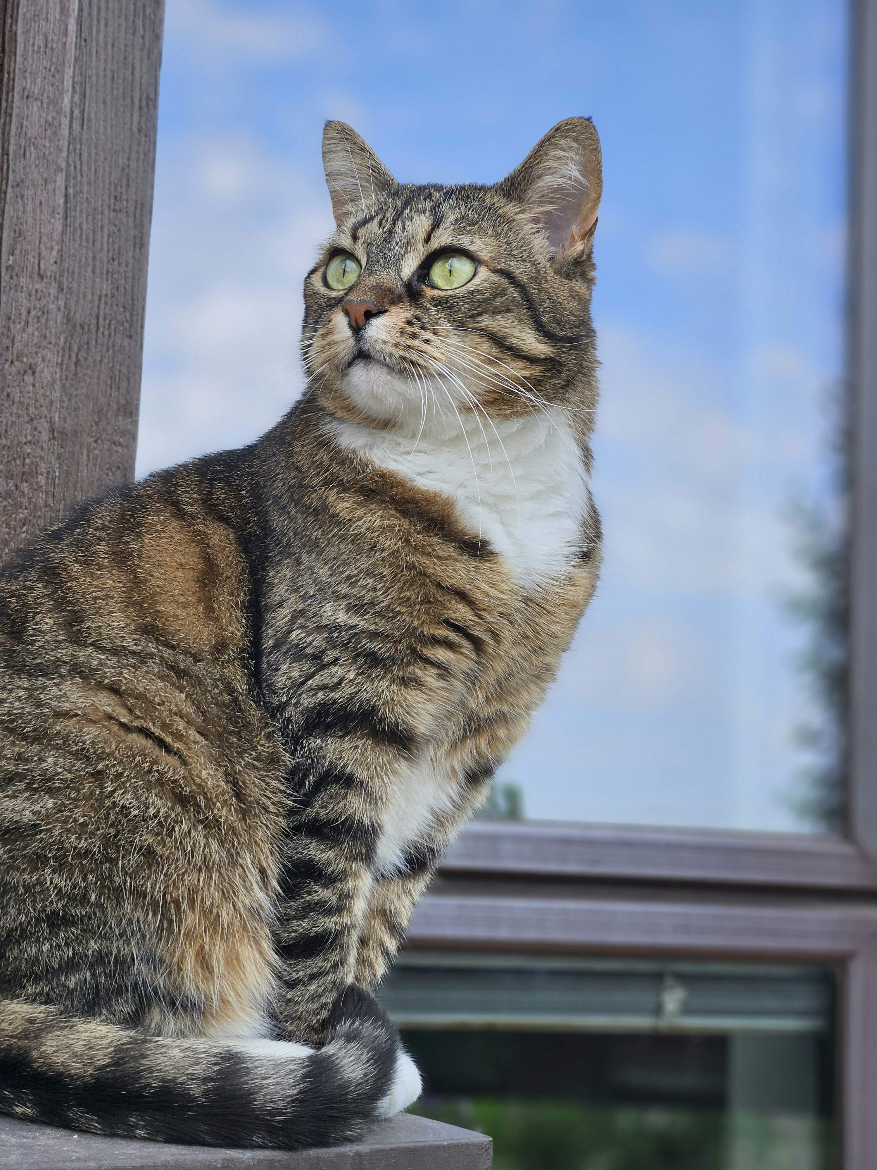 Photo by marjorylucabaxter