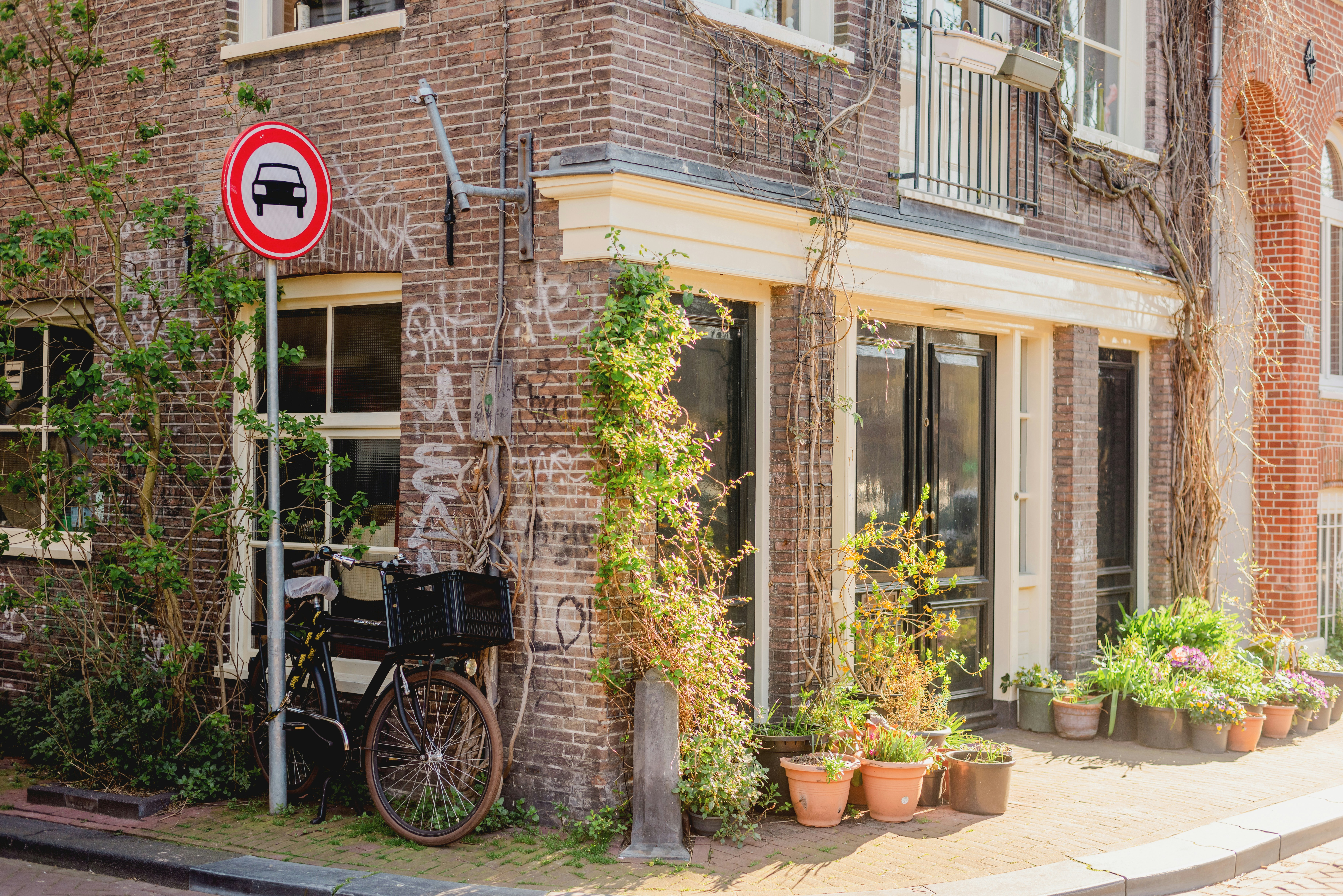 Photo by eugenivy_now