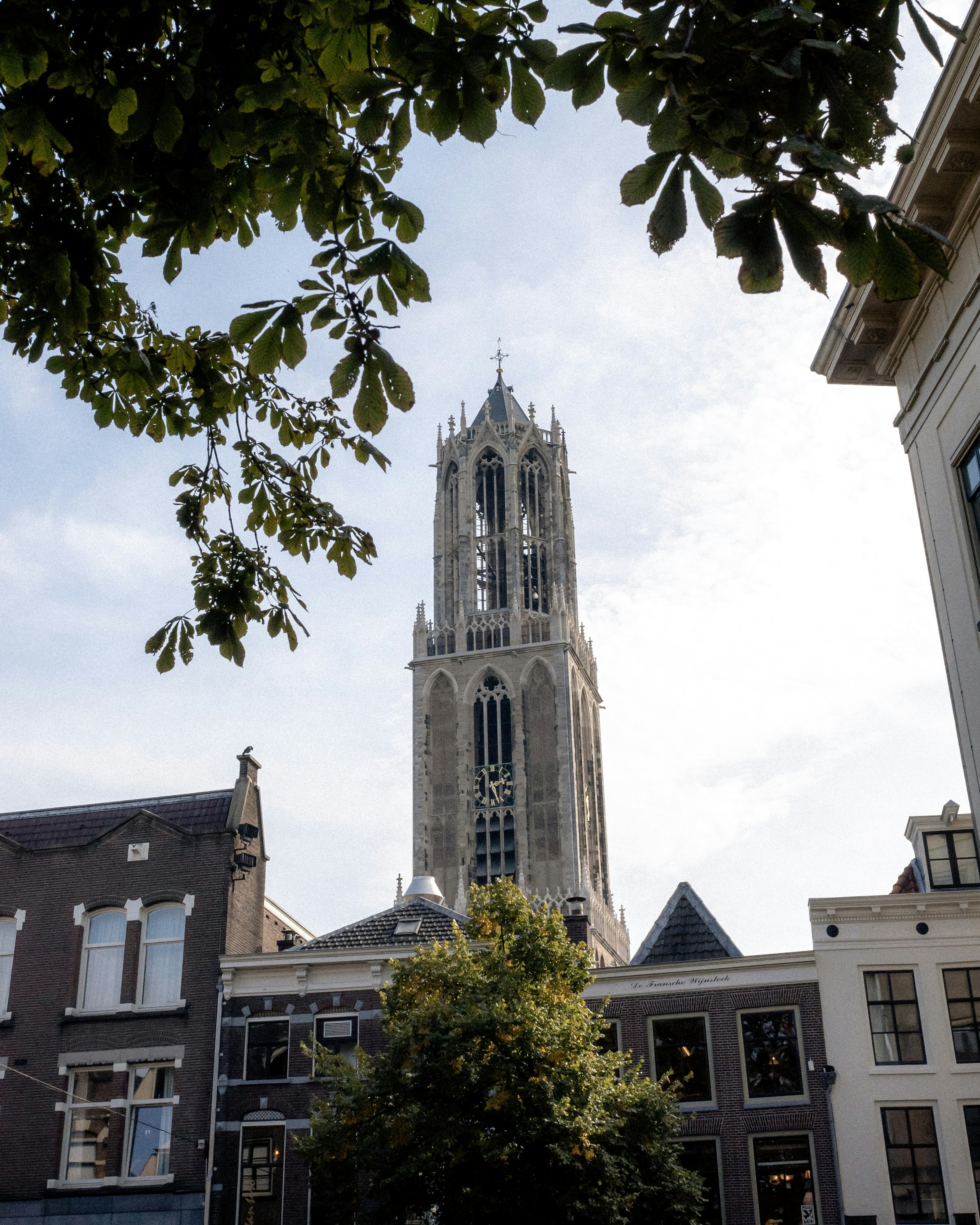 Unlocking Legal Excellence: Your Guide to Law Utrecht University