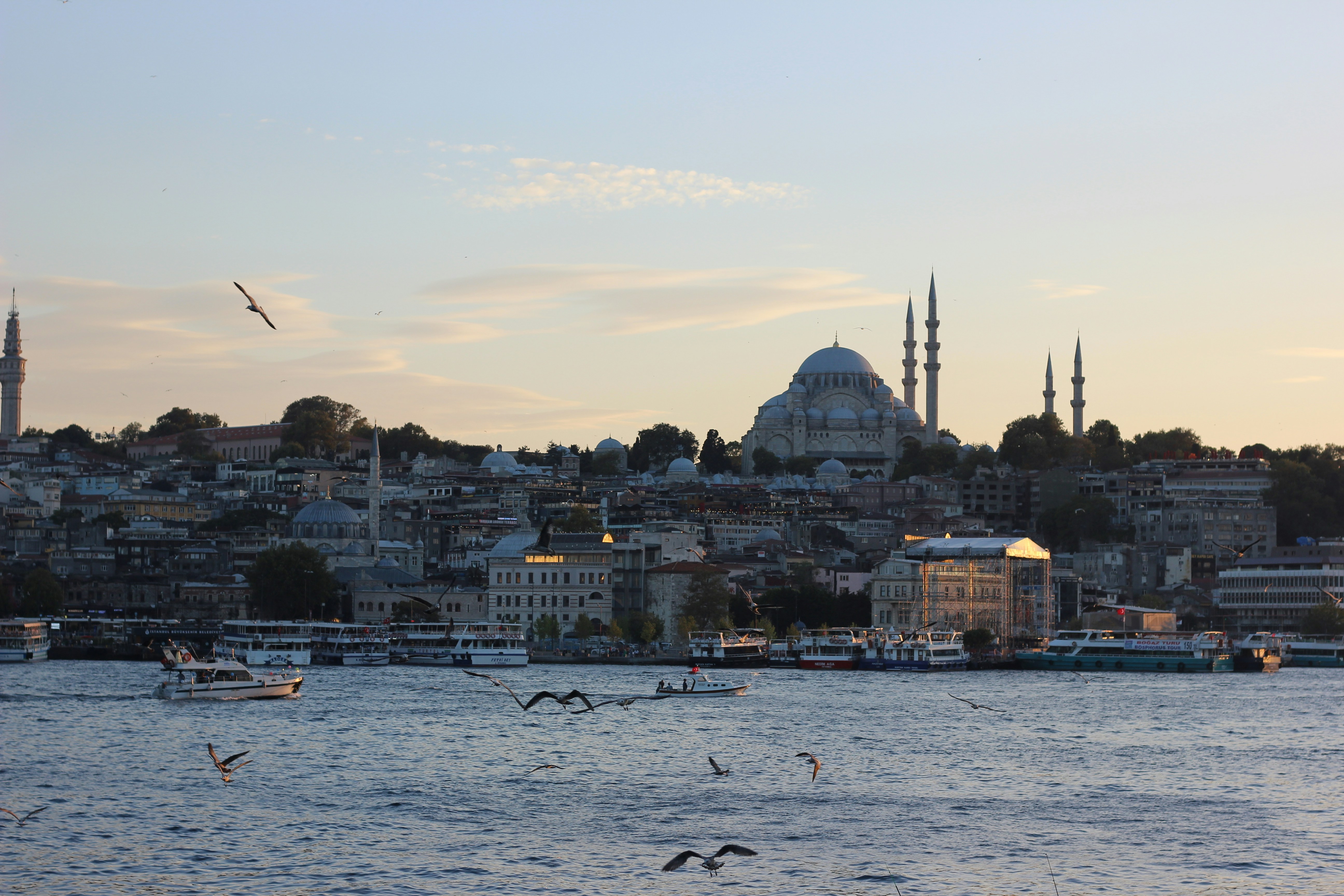 Photo by fatmanursimsek