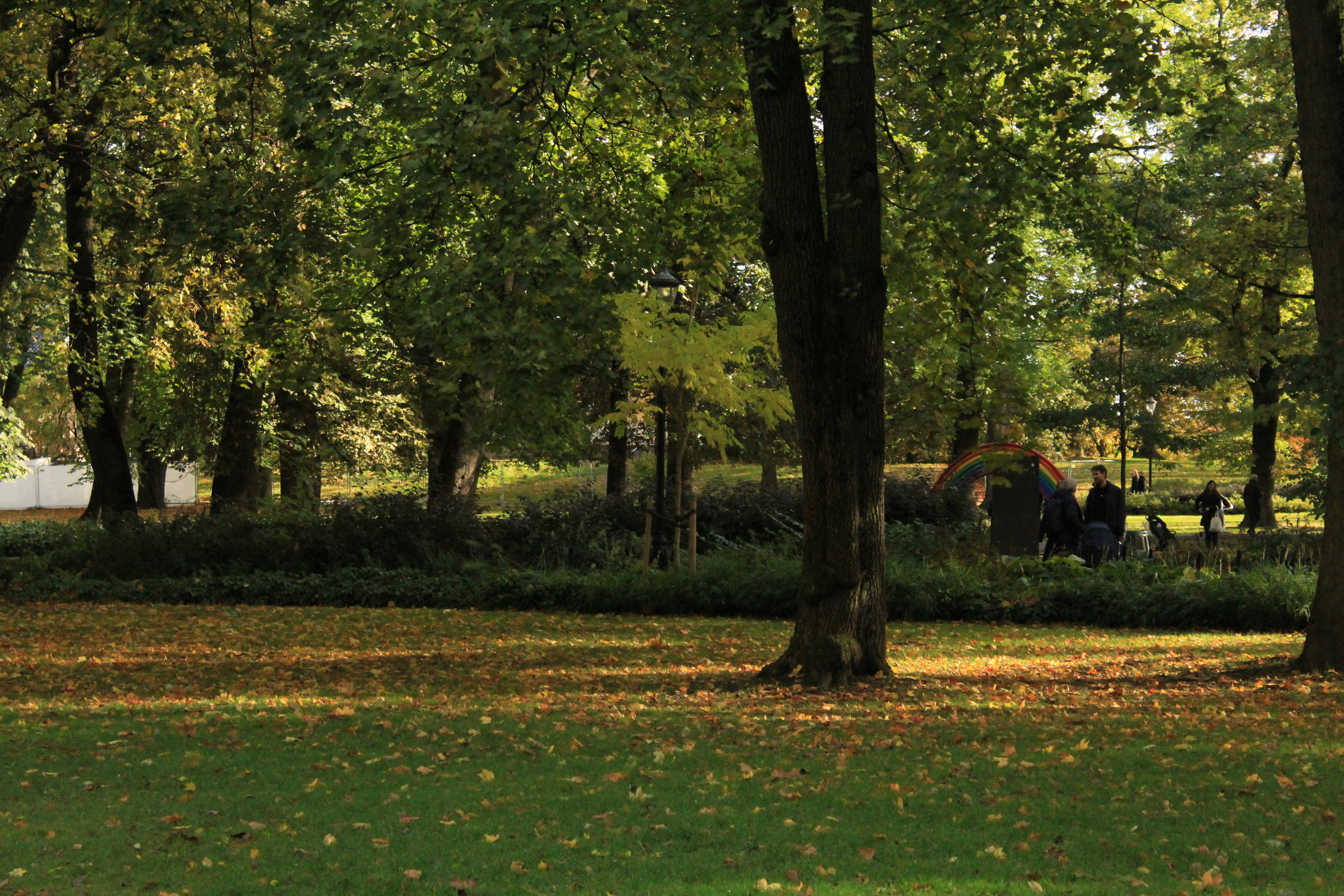 A peaceful park scene with lush trees.