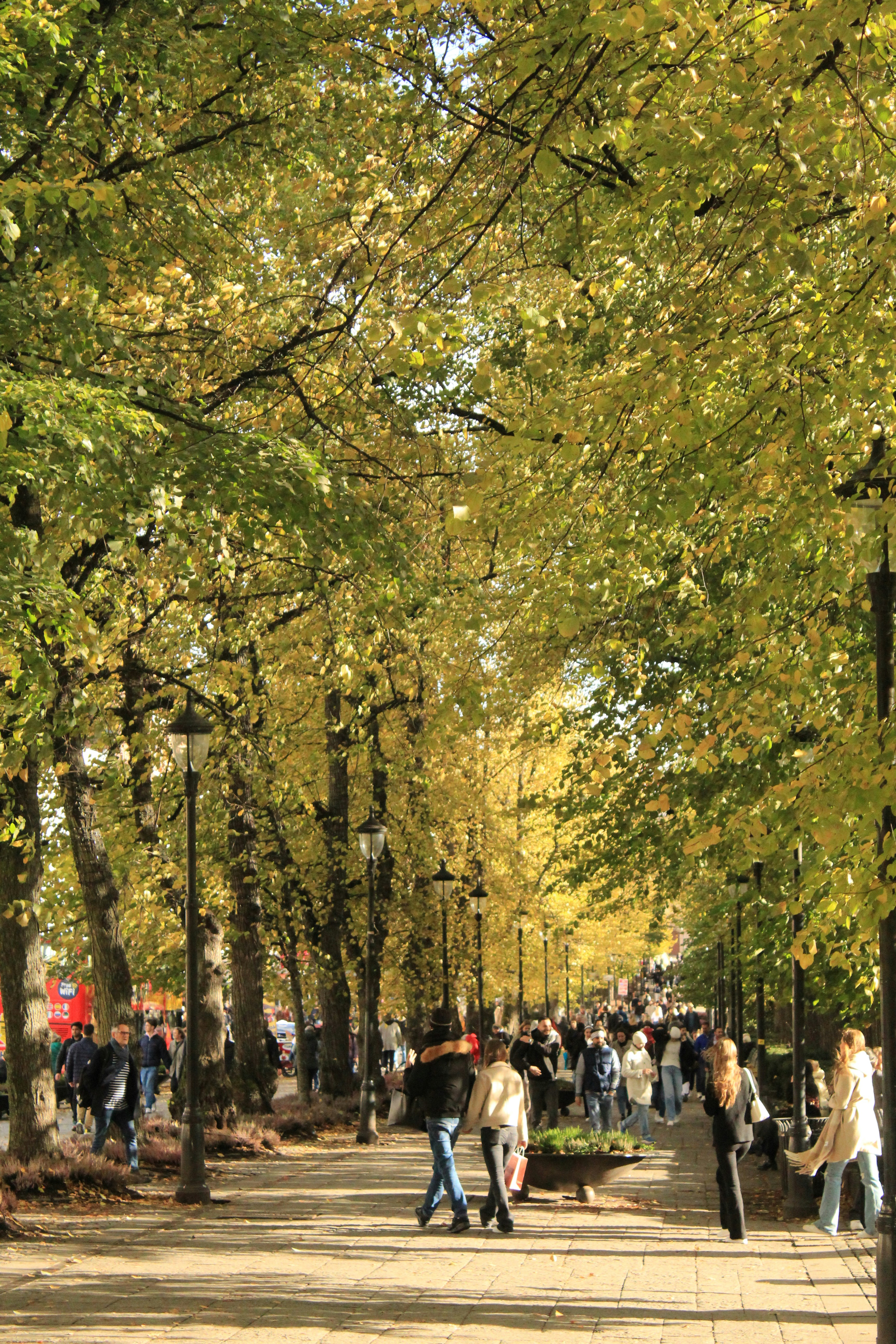 Photo by amirarsalan93