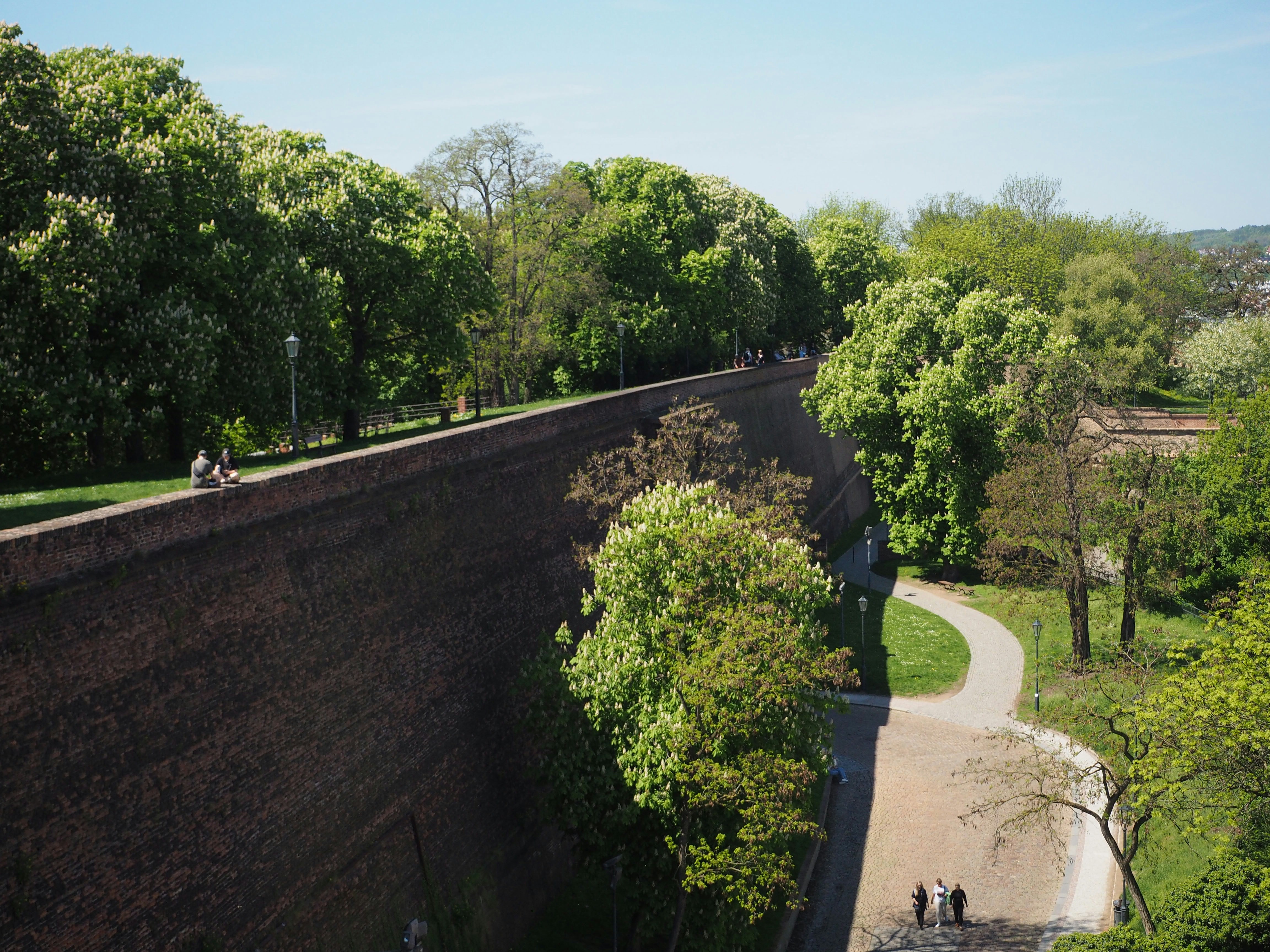 A long brick wall borders a walkway and trees.