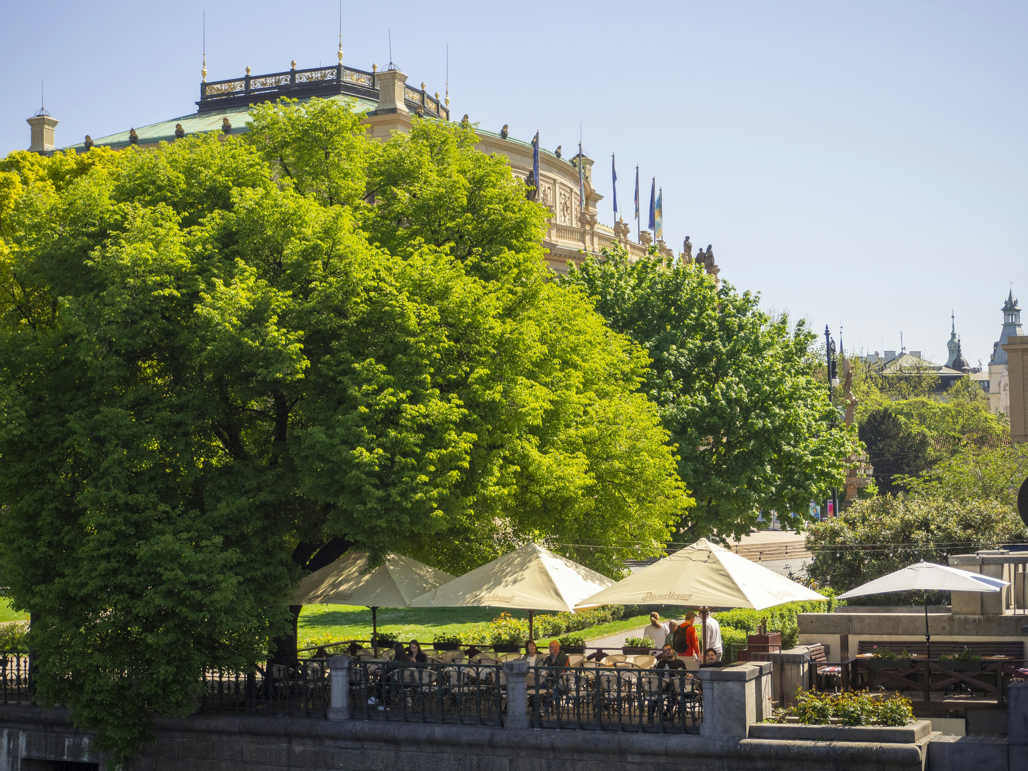 Trees and umbrellas frame a building in the city.