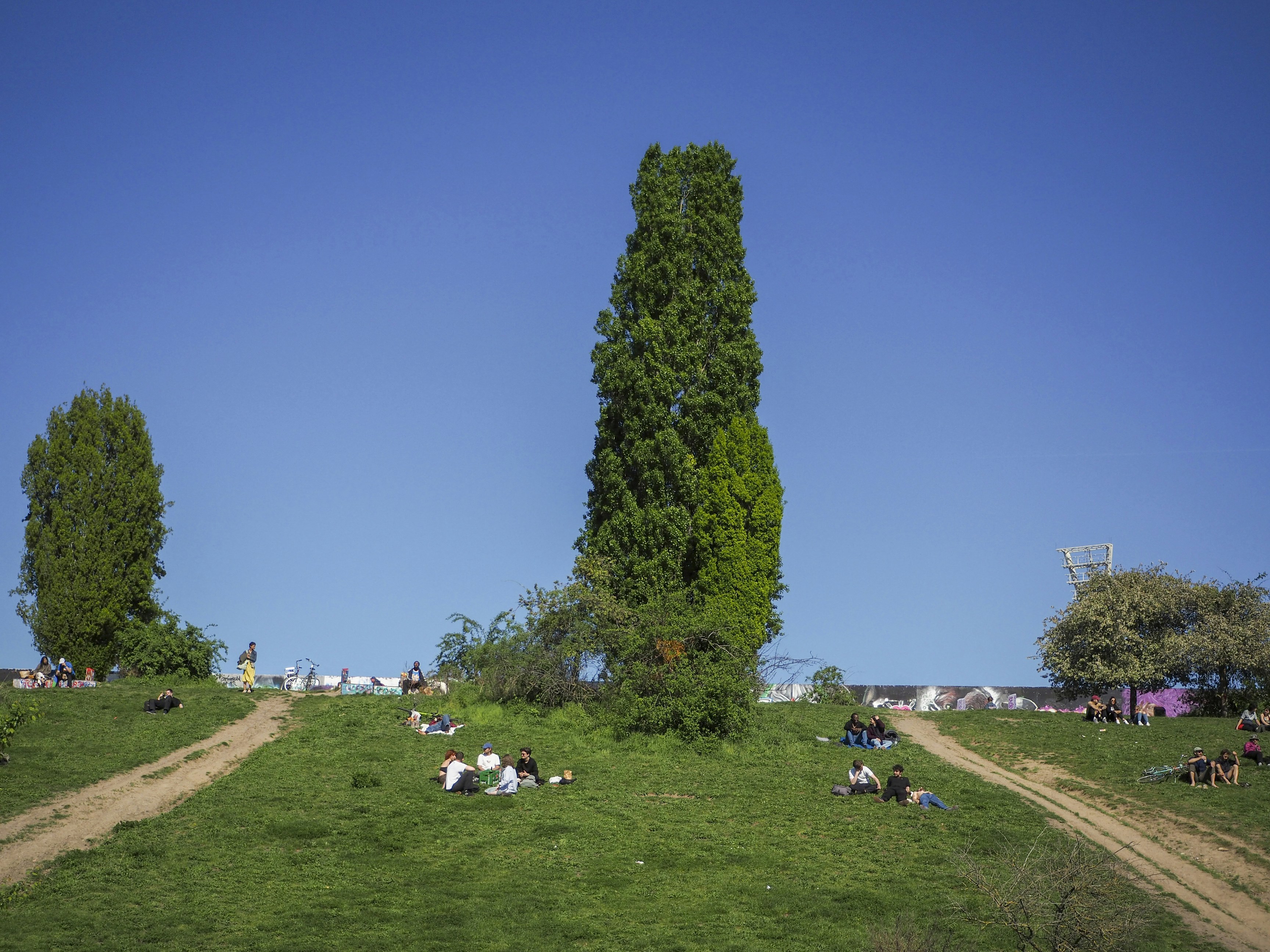 People relaxing on a sunny grassy hill.