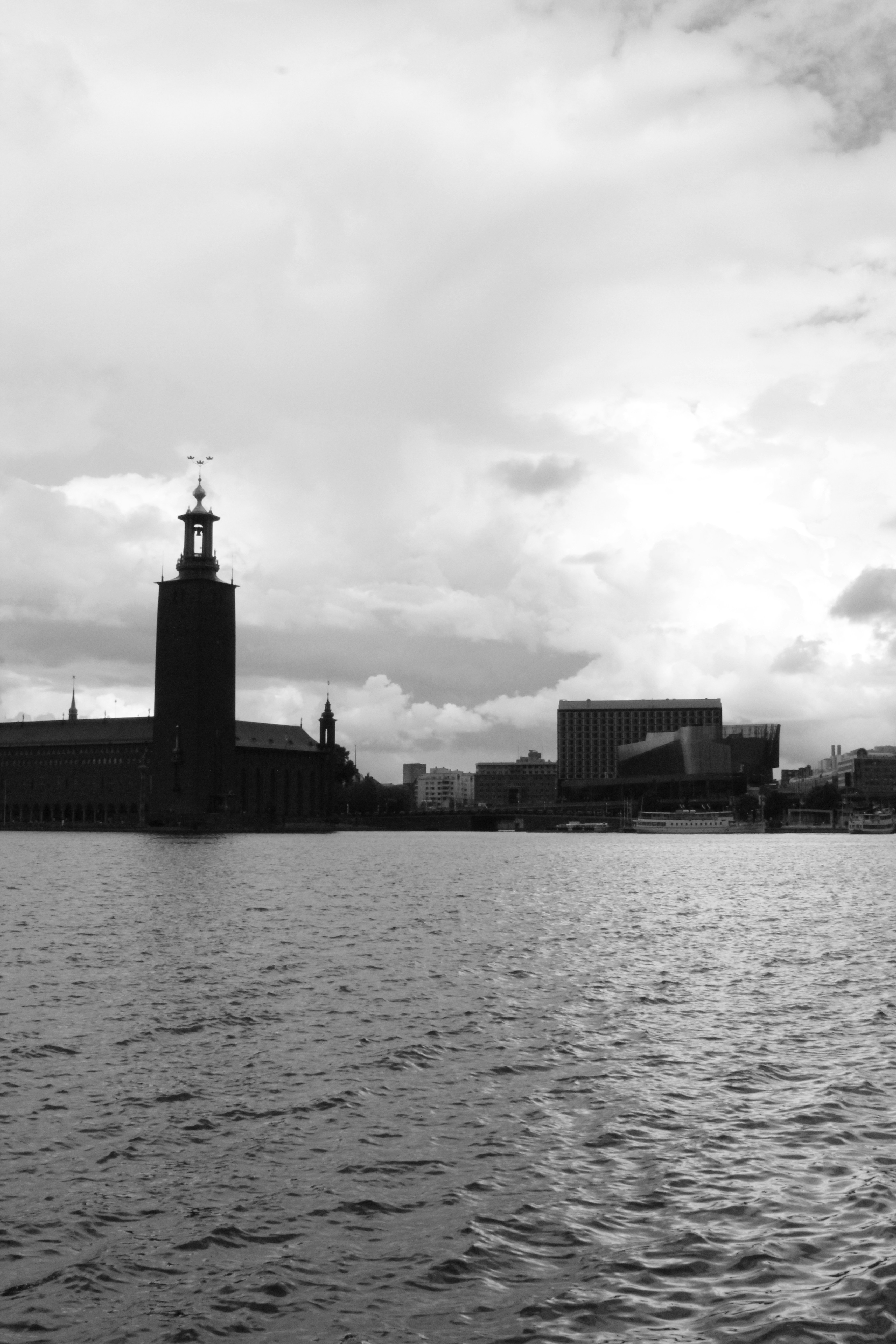 Photo by amirarsalan93