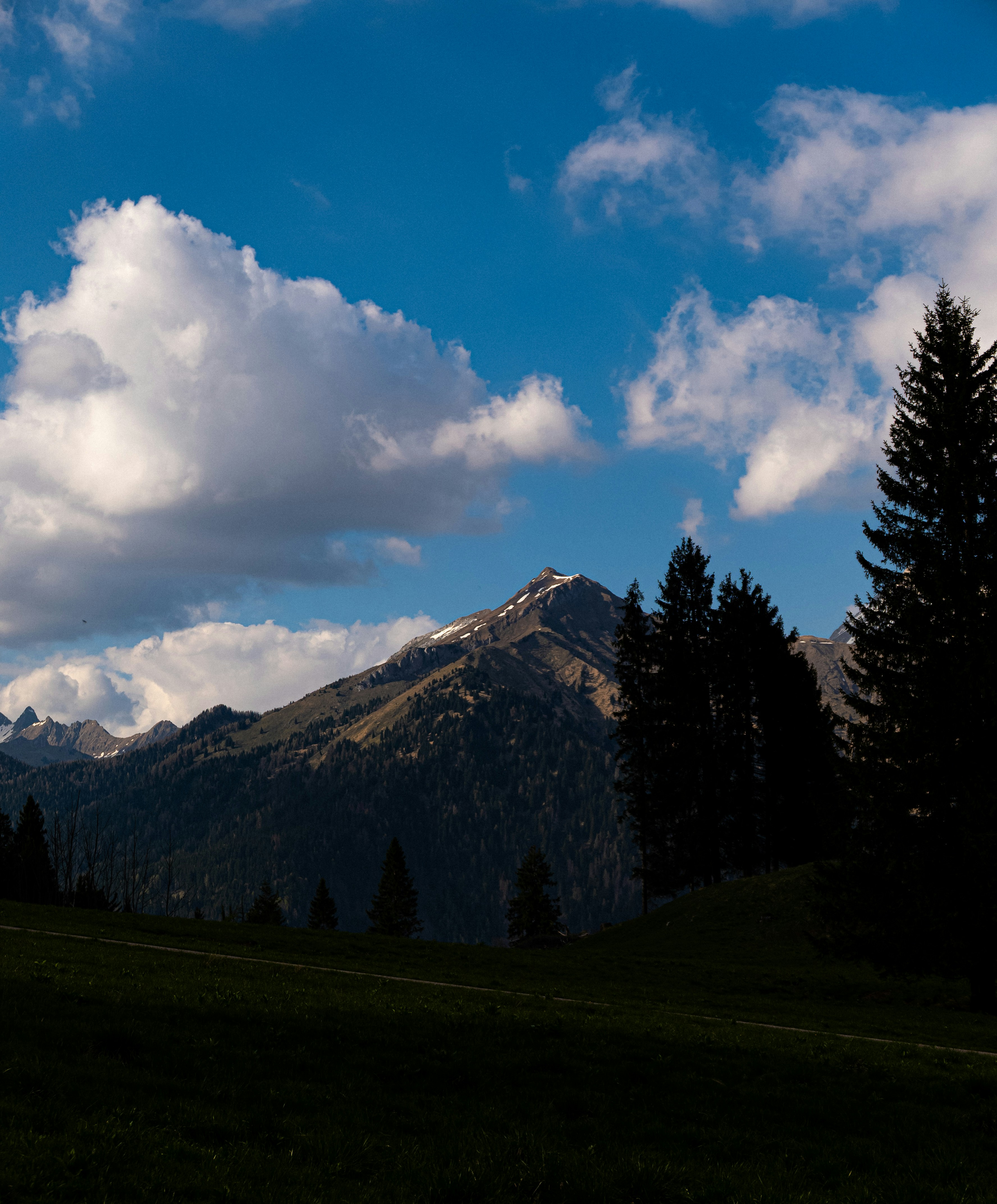 Photo by danielesimon