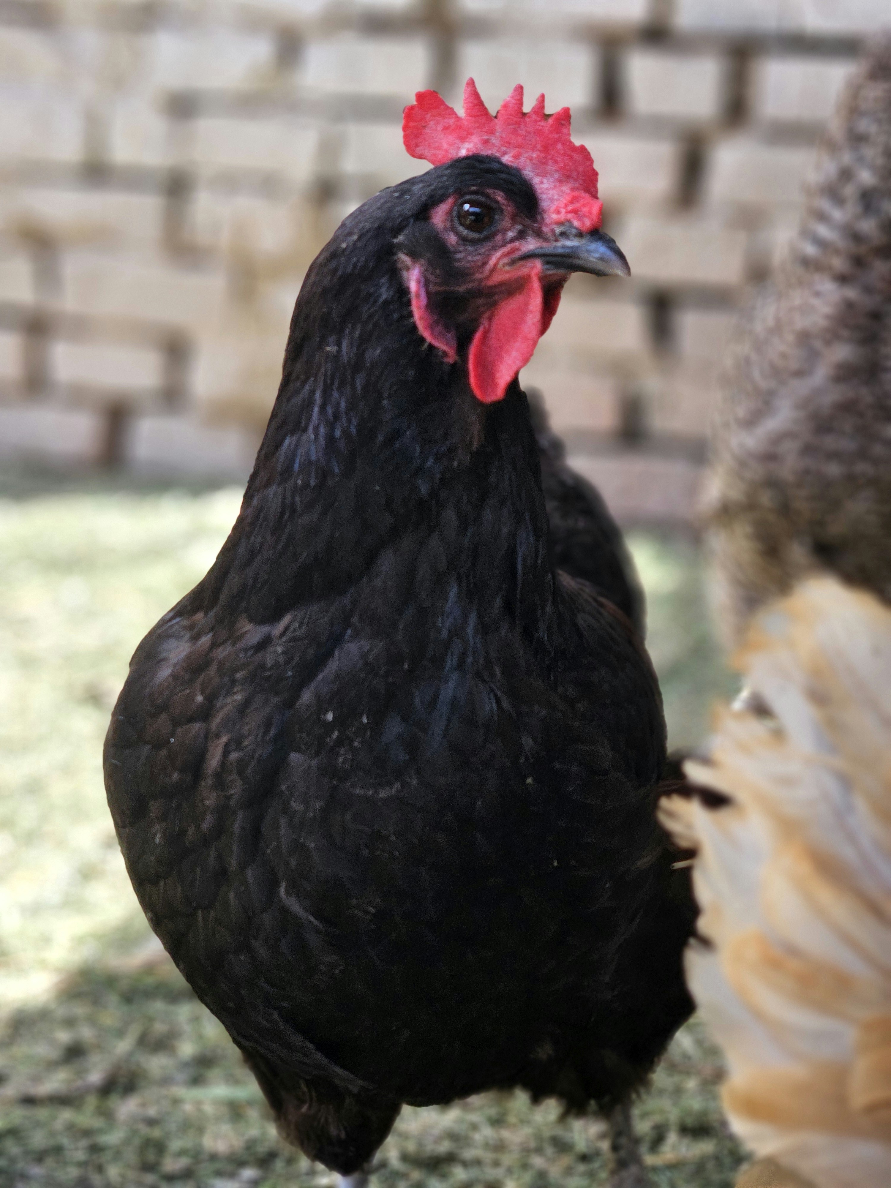 Photo by marjorylucabaxter