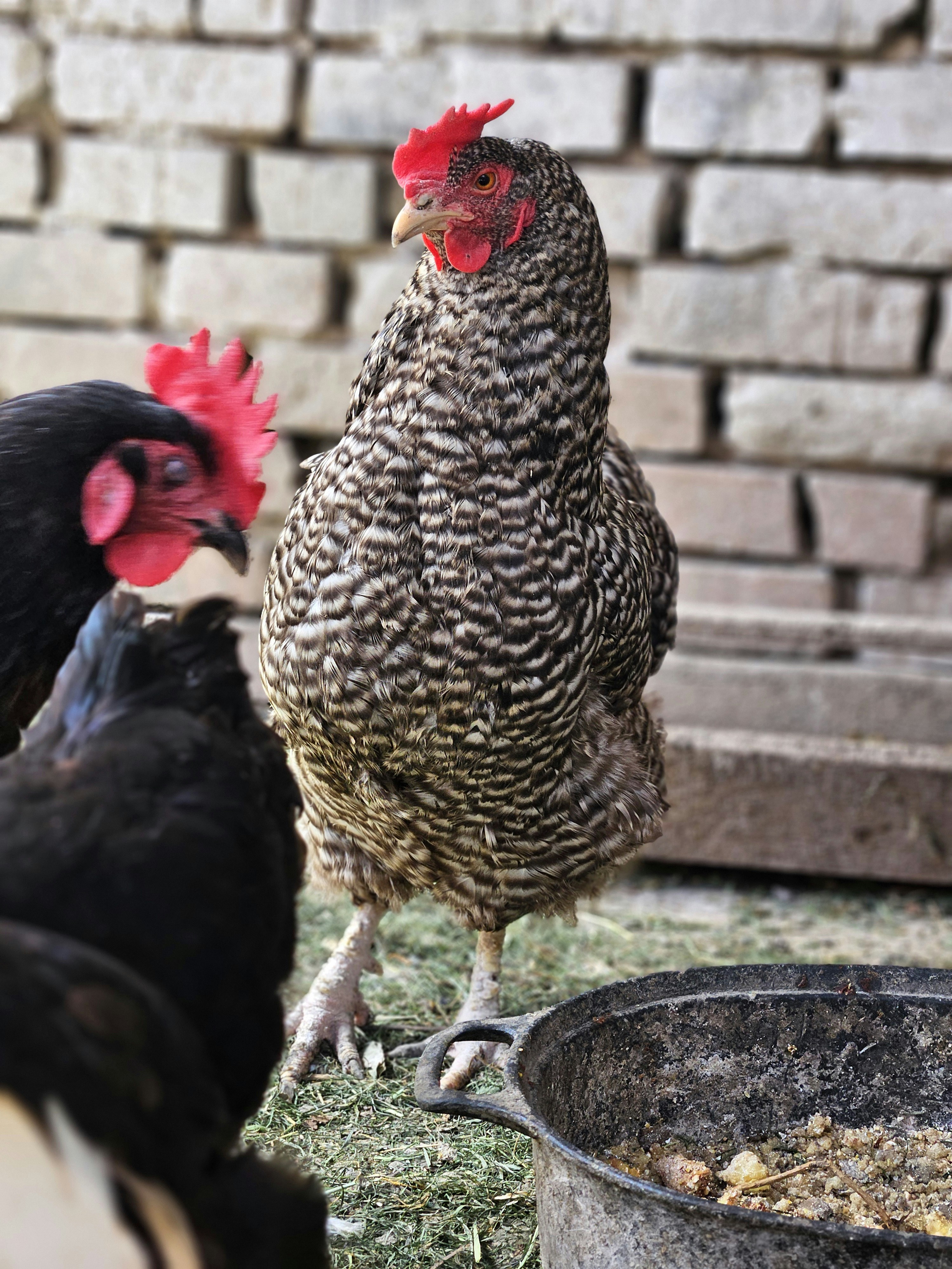 Photo by marjorylucabaxter