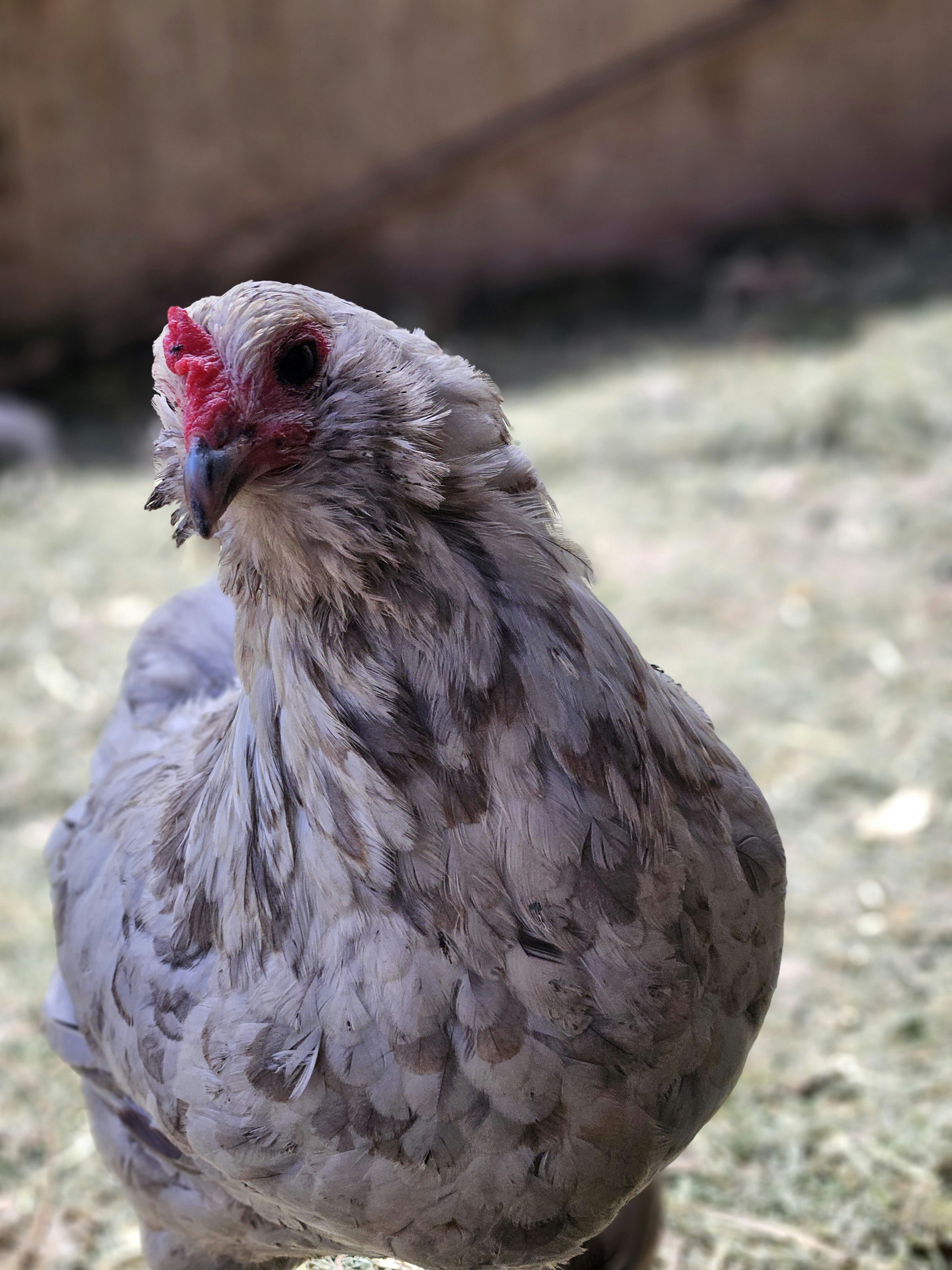 Photo by marjorylucabaxter