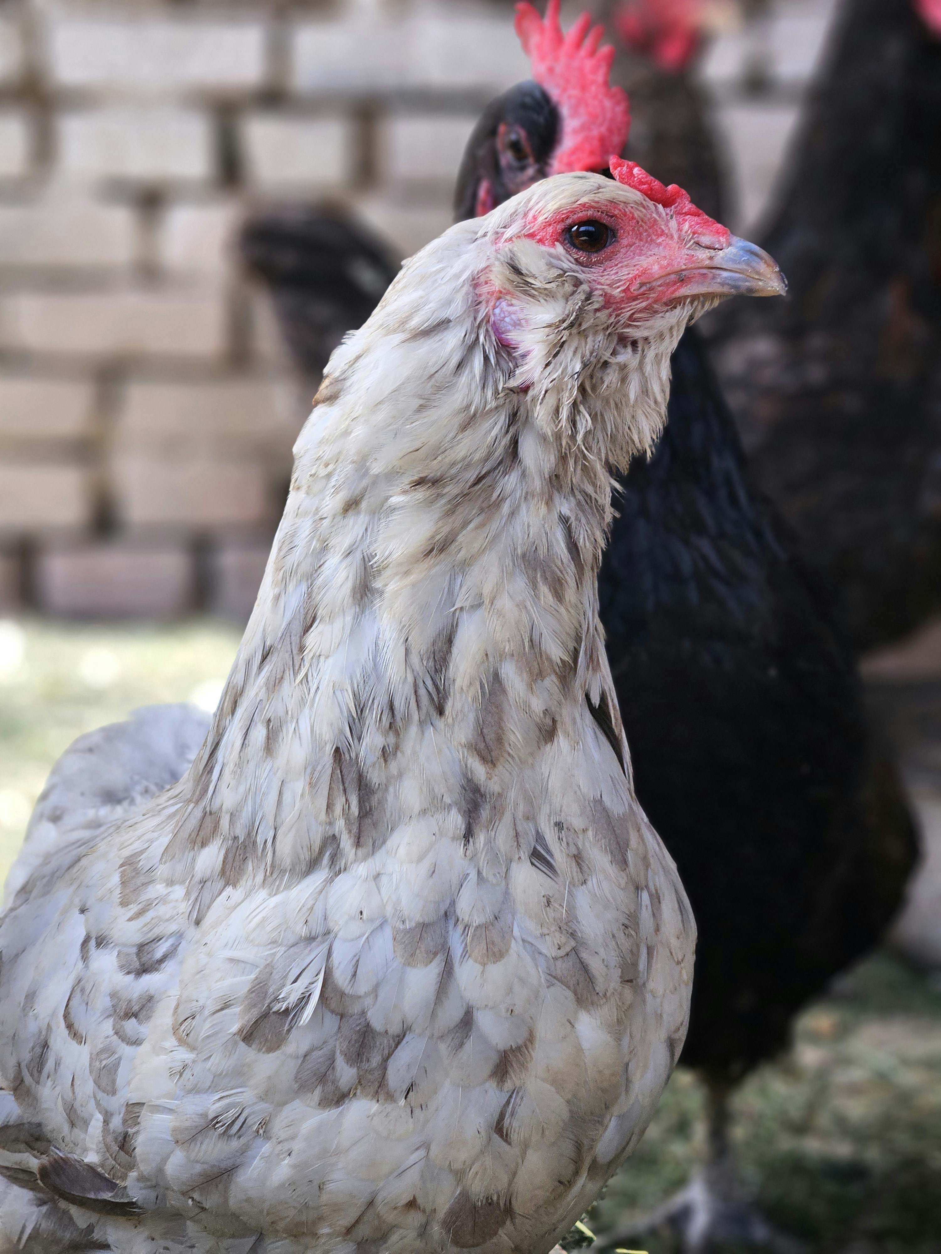 Photo by marjorylucabaxter