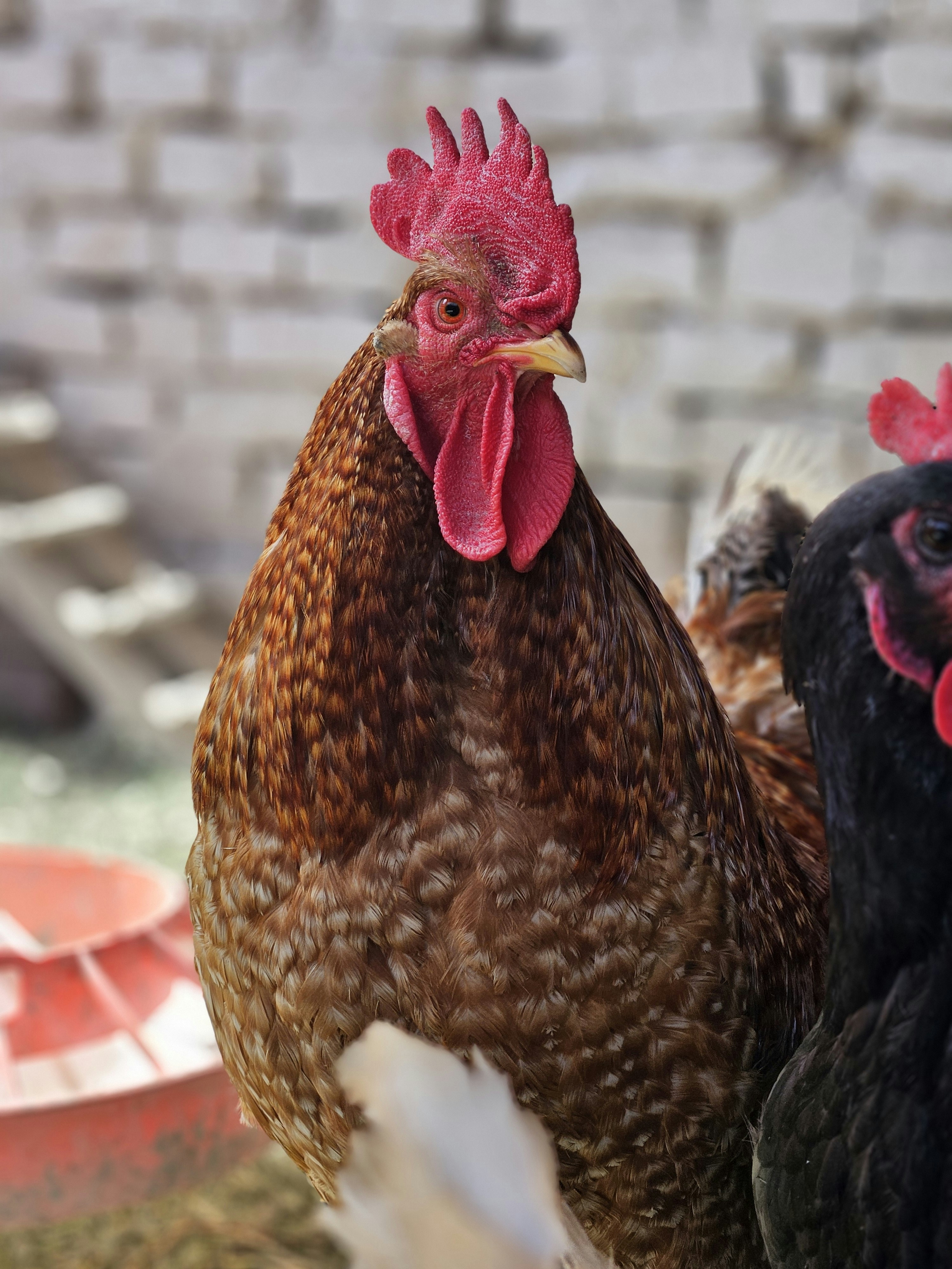 Photo by marjorylucabaxter