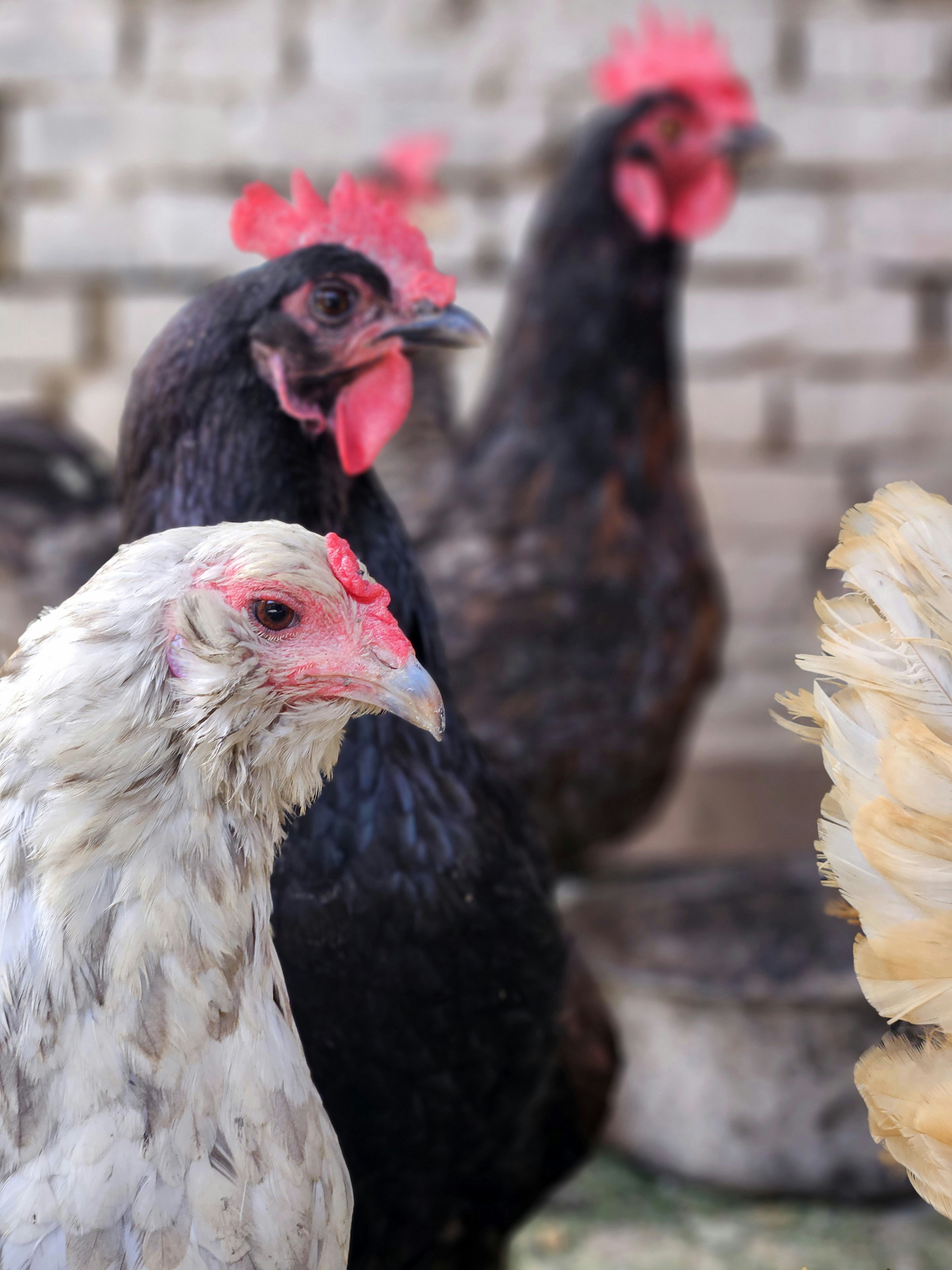 Photo by marjorylucabaxter