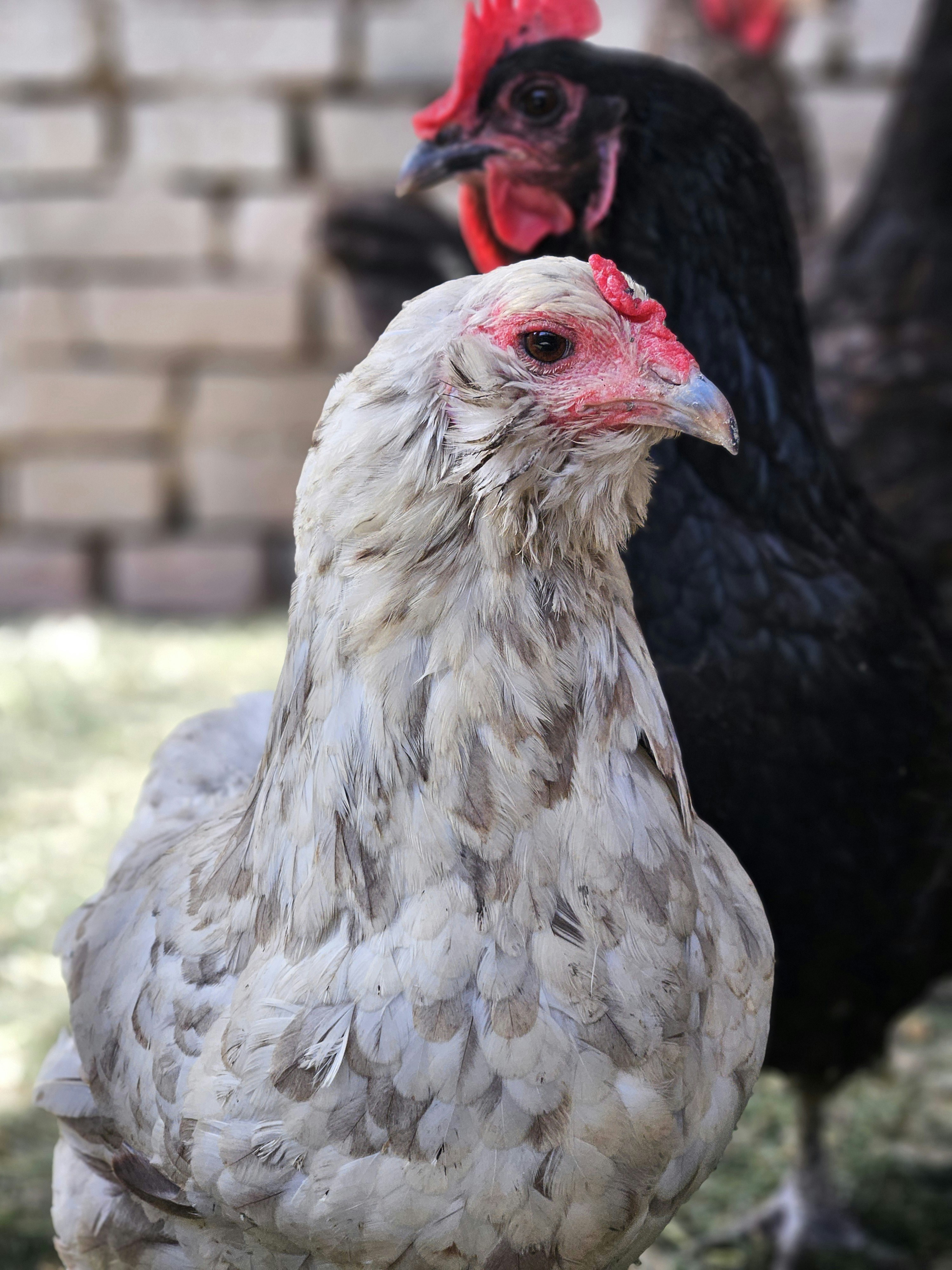 Photo by marjorylucabaxter