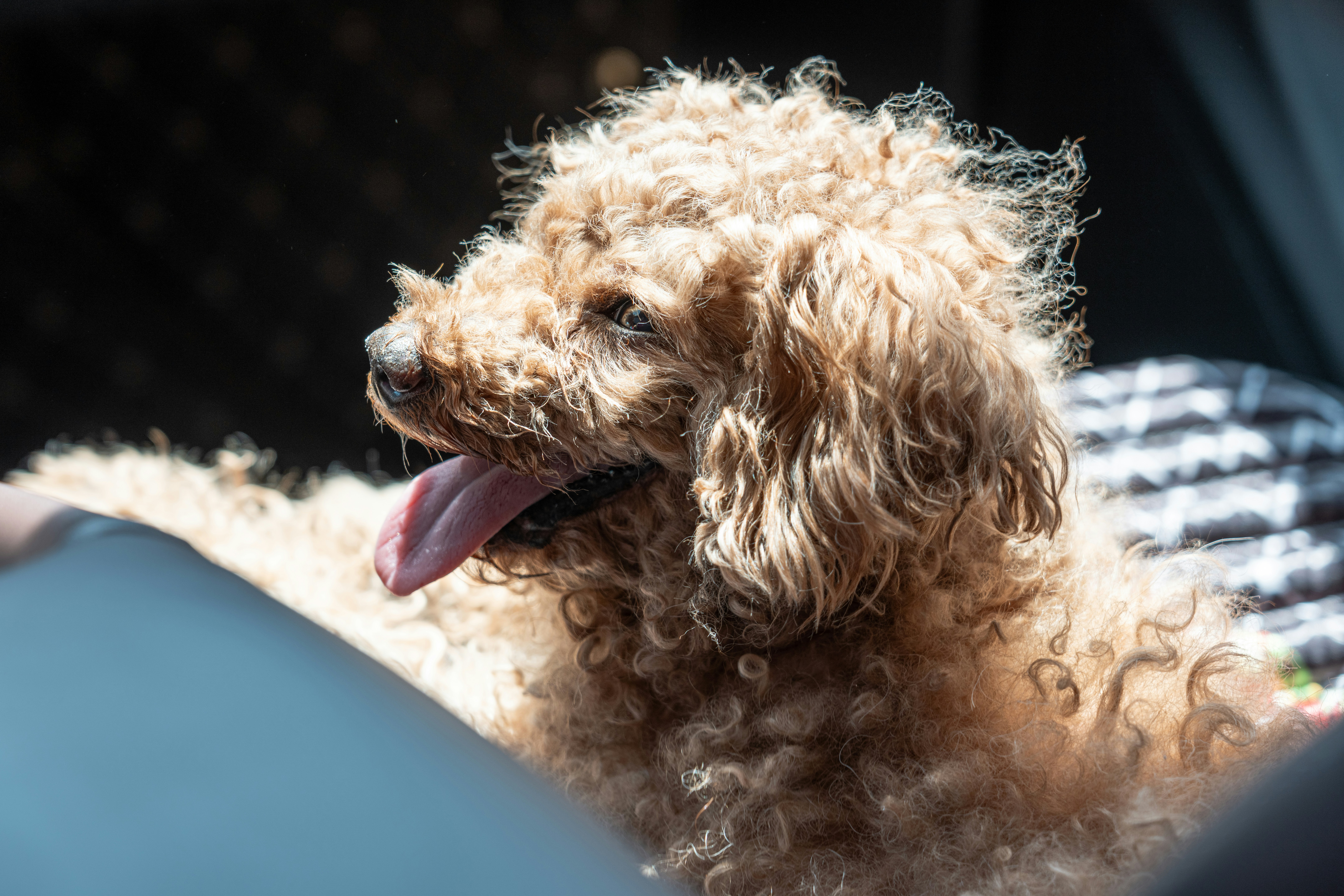 Photo by douglasalan