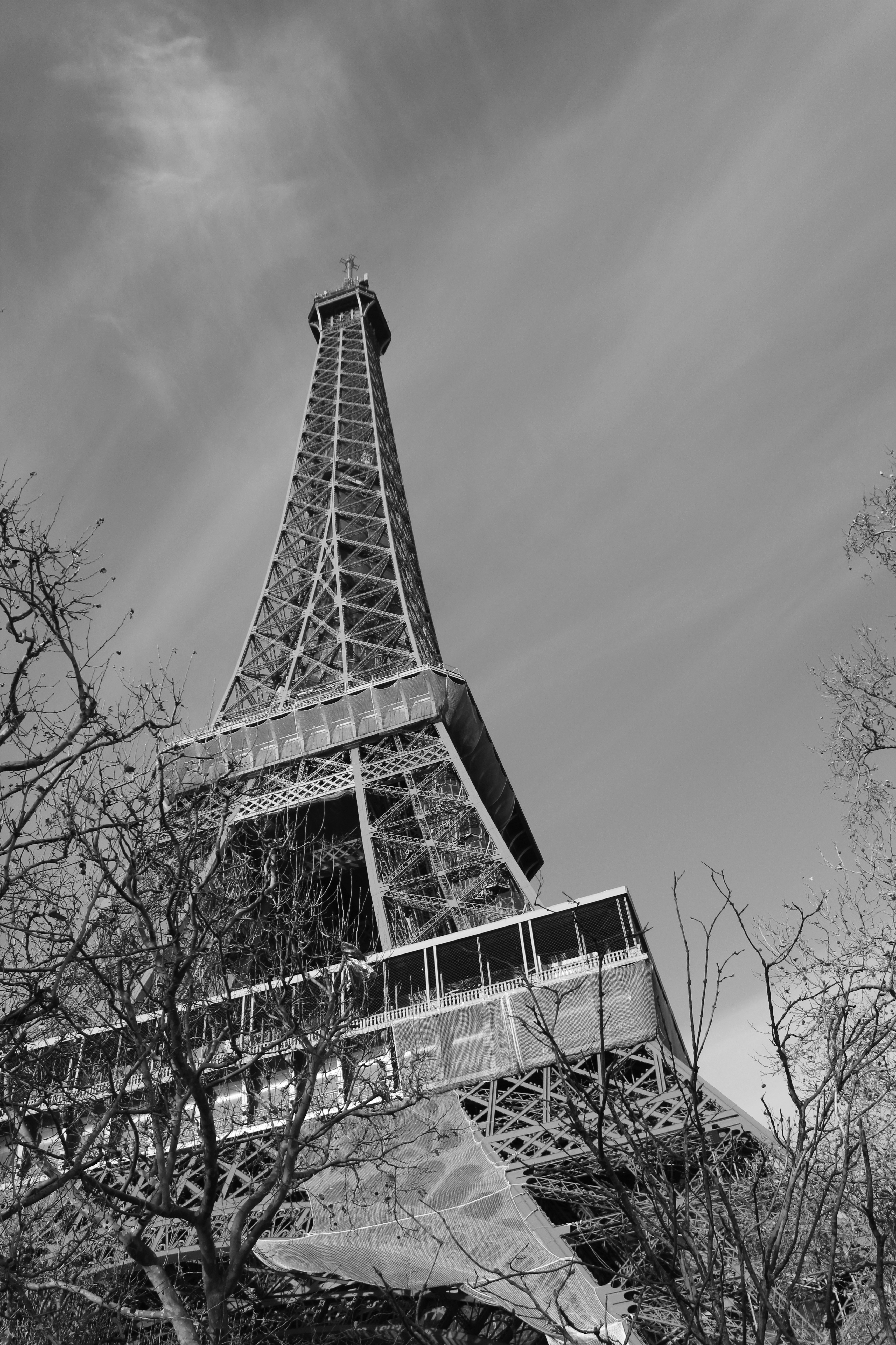 Photo by amirarsalan93