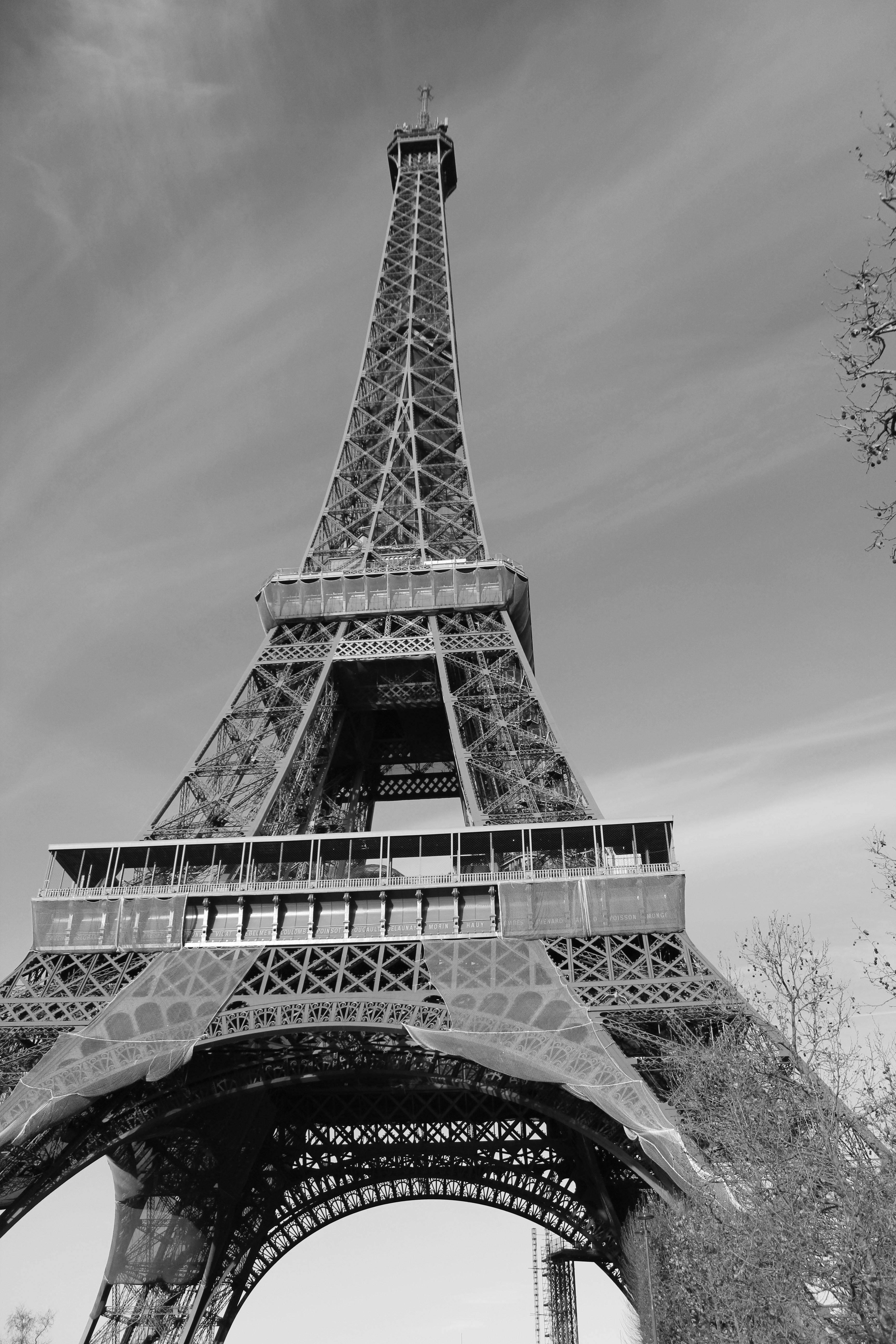 Photo by amirarsalan93