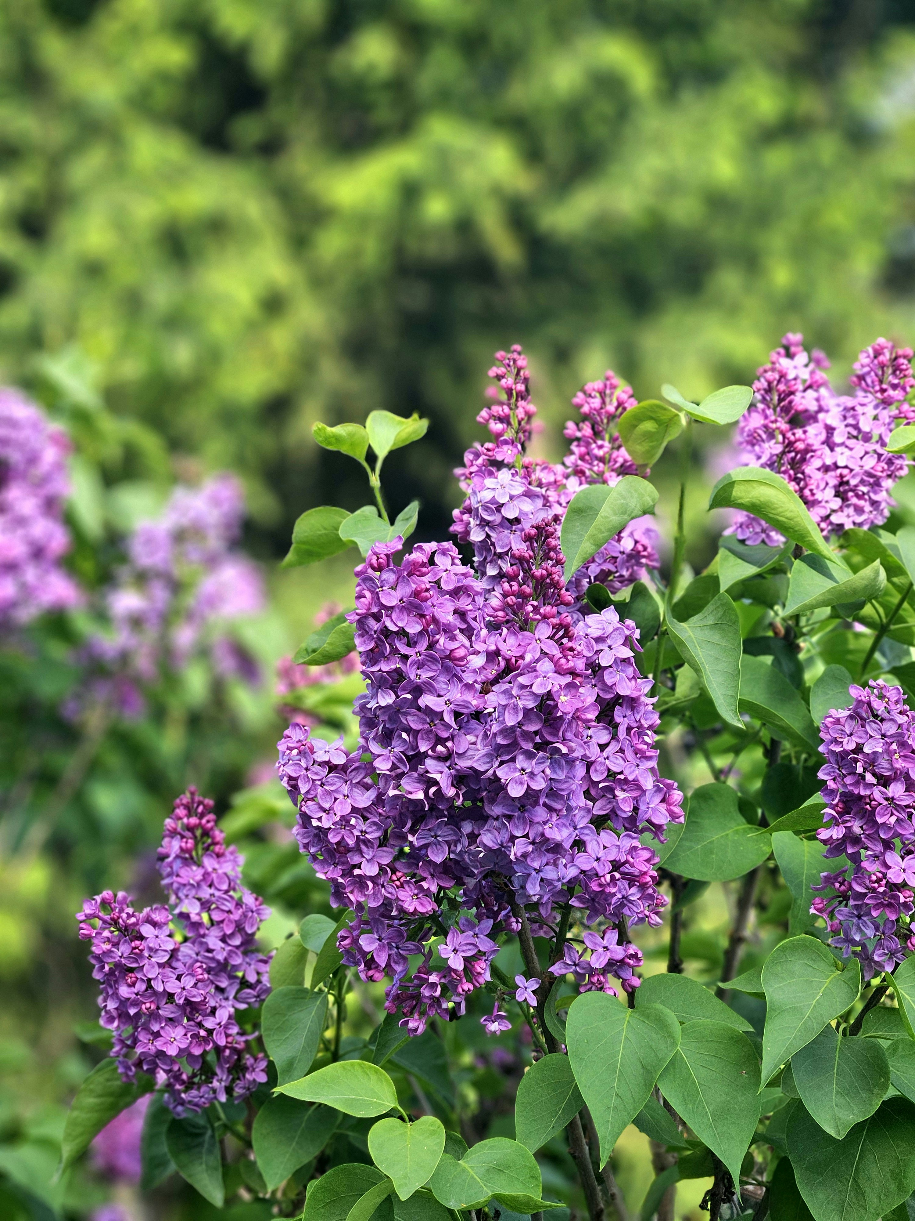 Photo by marjorylucabaxter