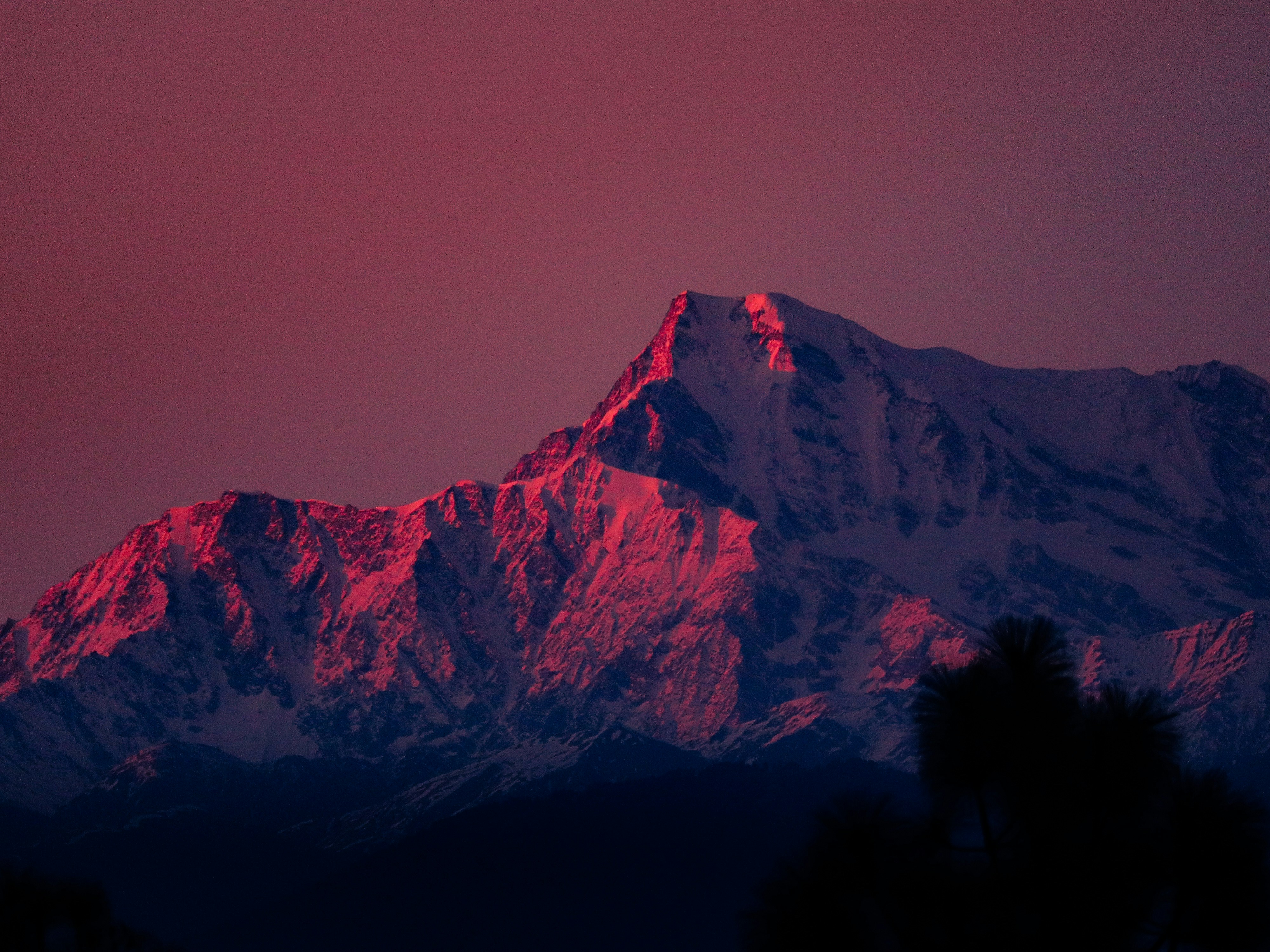 Snowy mountain peaks illuminated by pink light.