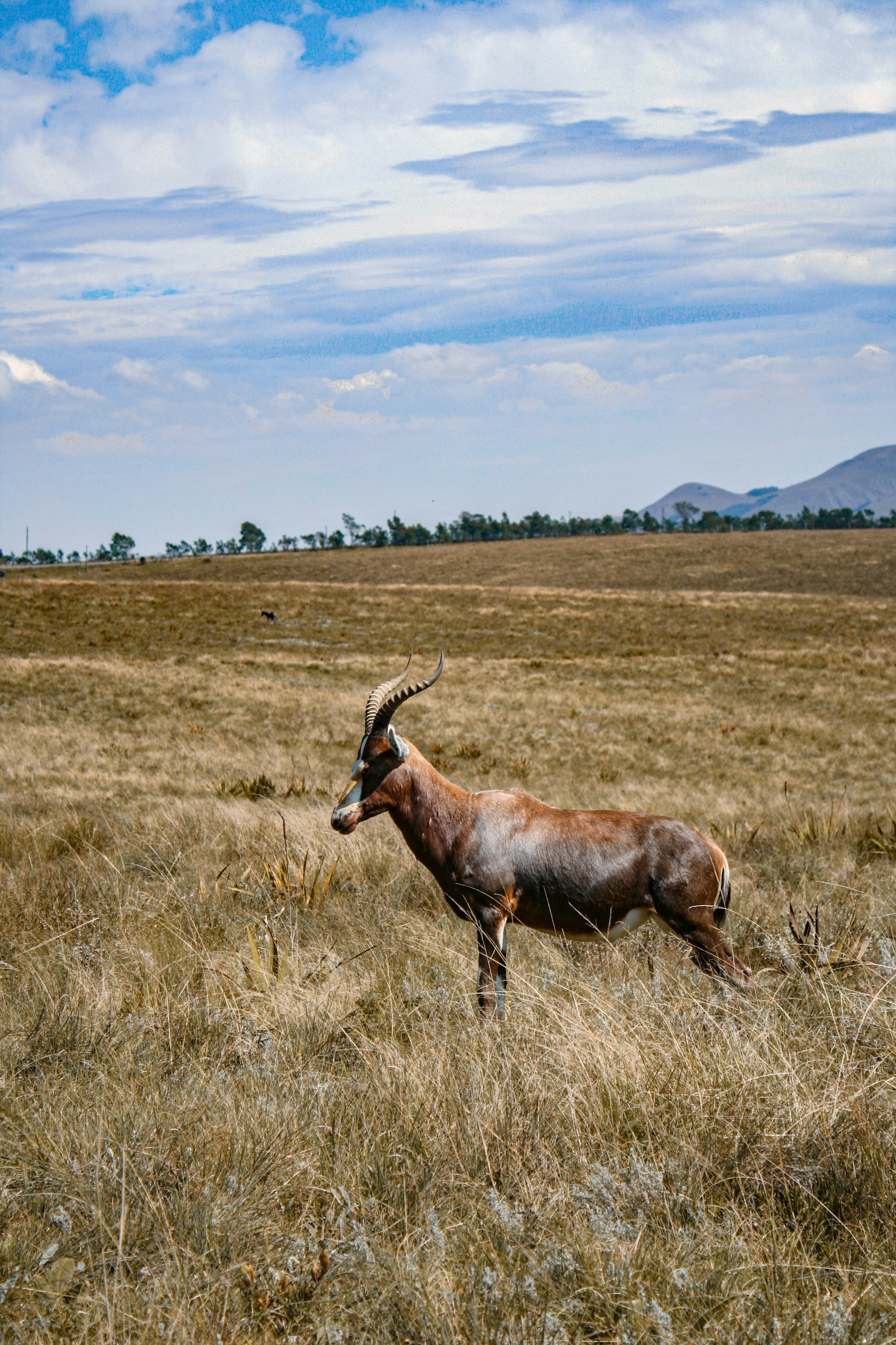 Photo by proudlyswazi