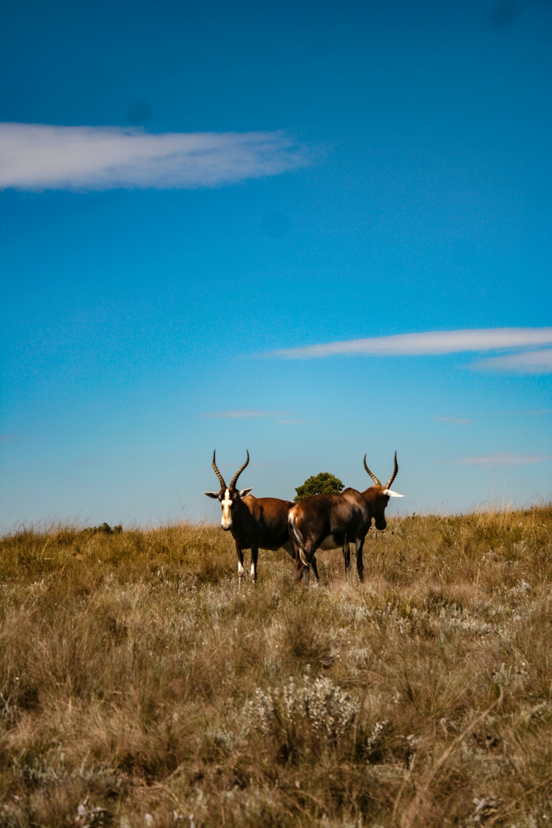 Photo by proudlyswazi