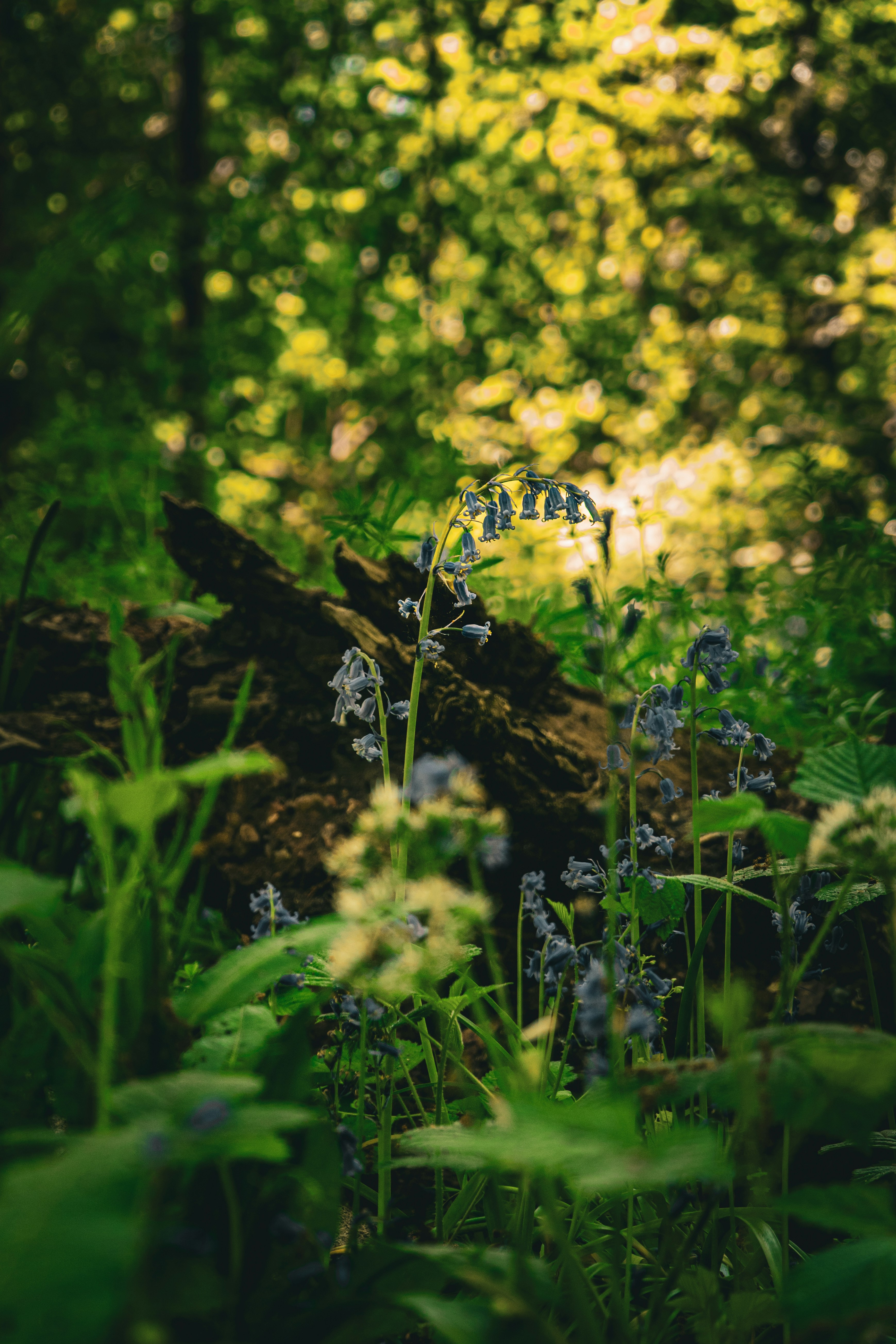 Photo by samuel_hagger